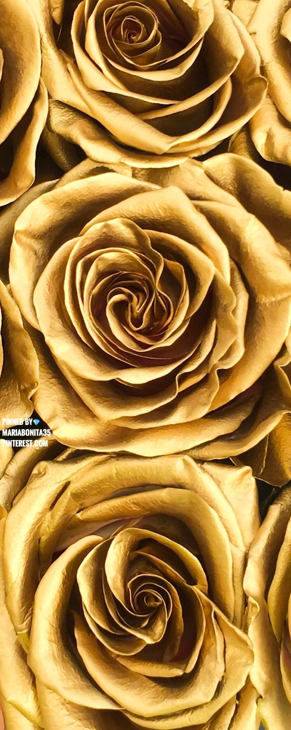 Goldene Rosen, Rosen, Metallisch, Blumen, Hochformat, Hintergrundbild fürs Smartphone