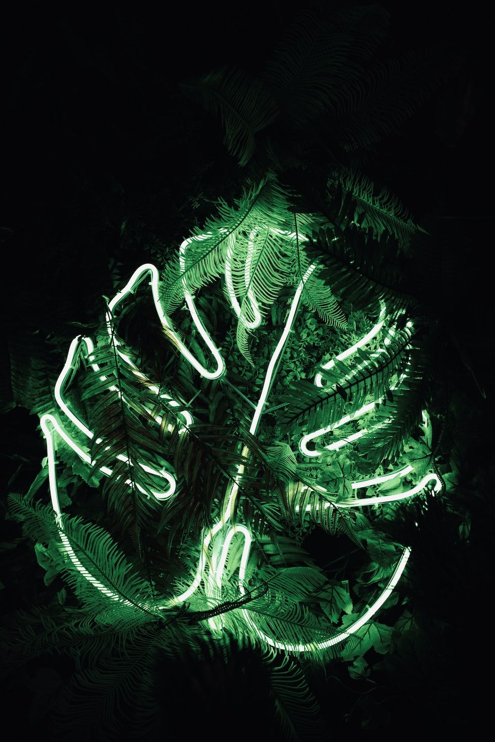 Monstera-Blatt, Neonlicht, Schwarzer Hintergrund, Leuchtend, Grün, Sperrbildschirm fürs iPhone