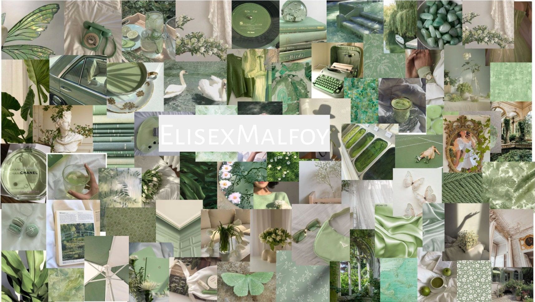 Collage, Salbeigrün, Moodboard, Pflanzen, Ästhetik, HD, Desktop-Hintergrund für Windows