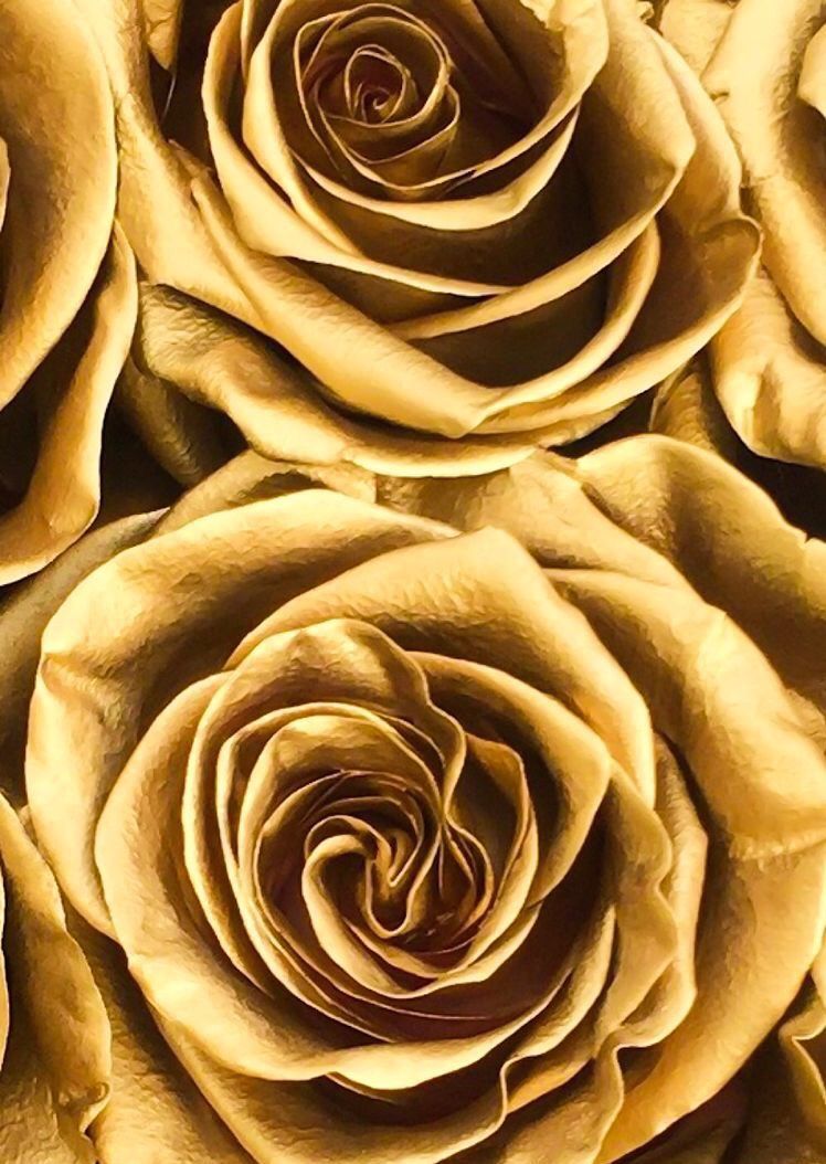 Goldene Rosen, Rosen, Nahaufnahme, Metallisch, HD, iPad-Hintergrundbild