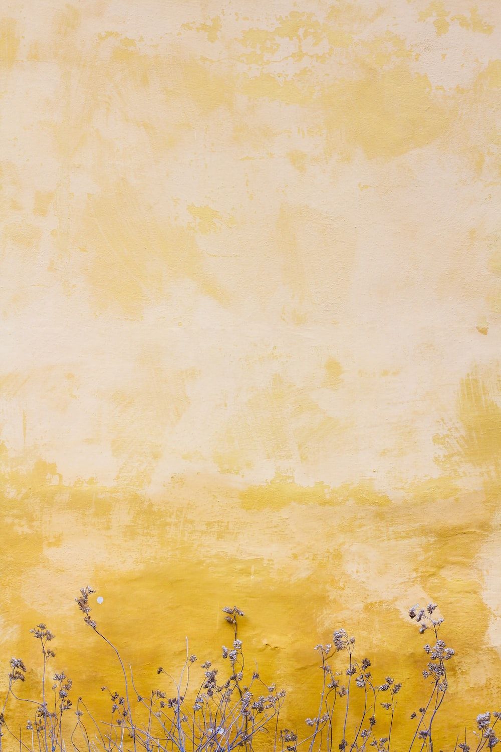 Aquarell, Gelb, Wildblumen, Textur, HD, Handy-Hintergrund im Hochformat