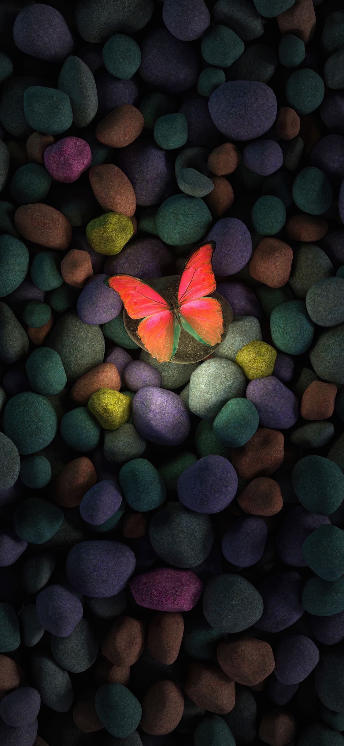 Schmetterling, Kieselsteine, Rot, Dunkel, 3D, iPhone 18, Sperrbildschirm