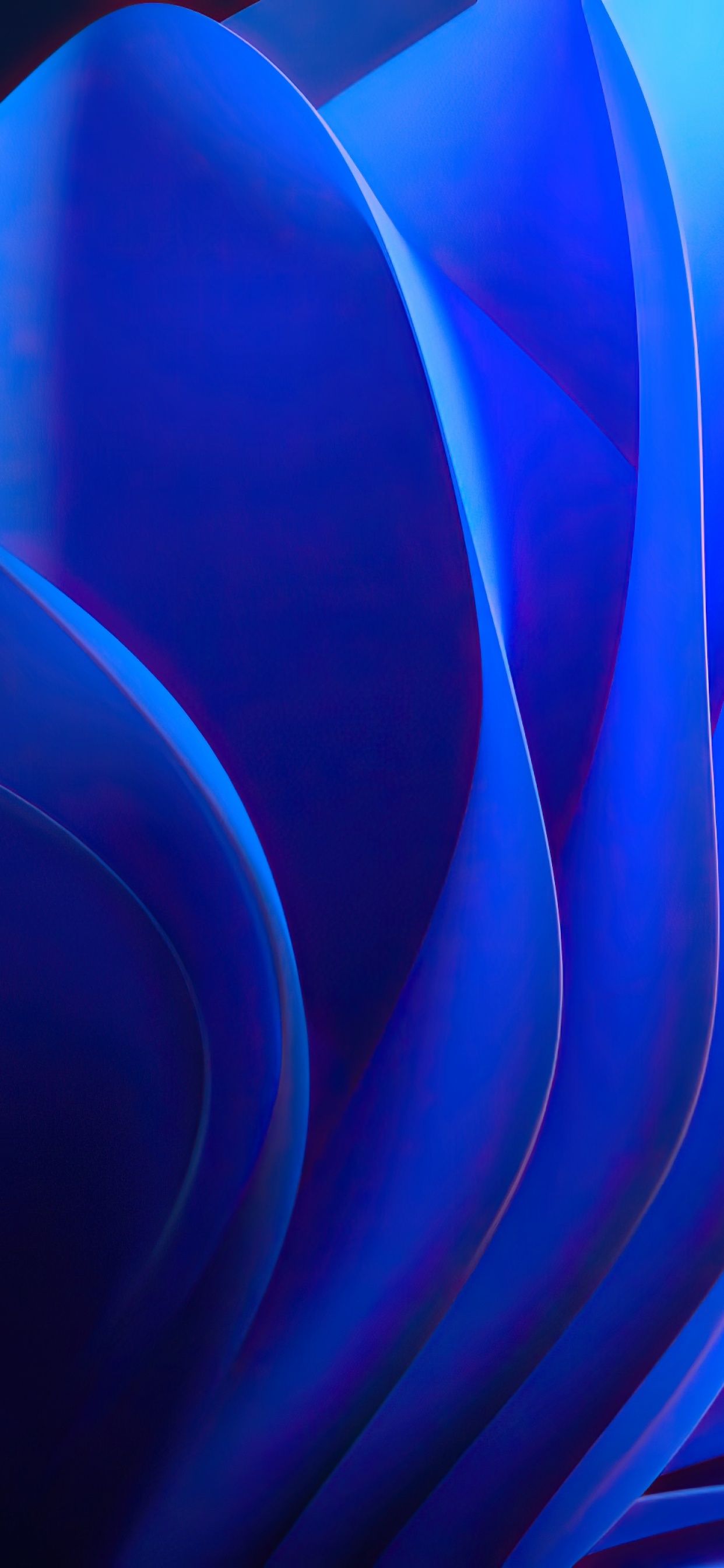 Windows 11, Bloom, Abstrakt, Blau, Blütenblätter, iPhone 18, Handy-Hintergrund