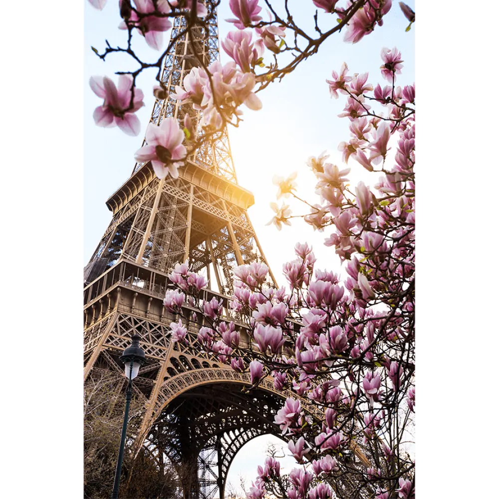Eiffelturm, Paris, Magnolienblüten, Frühling, Froschperspektive, Hintergrundbild fürs Tablet