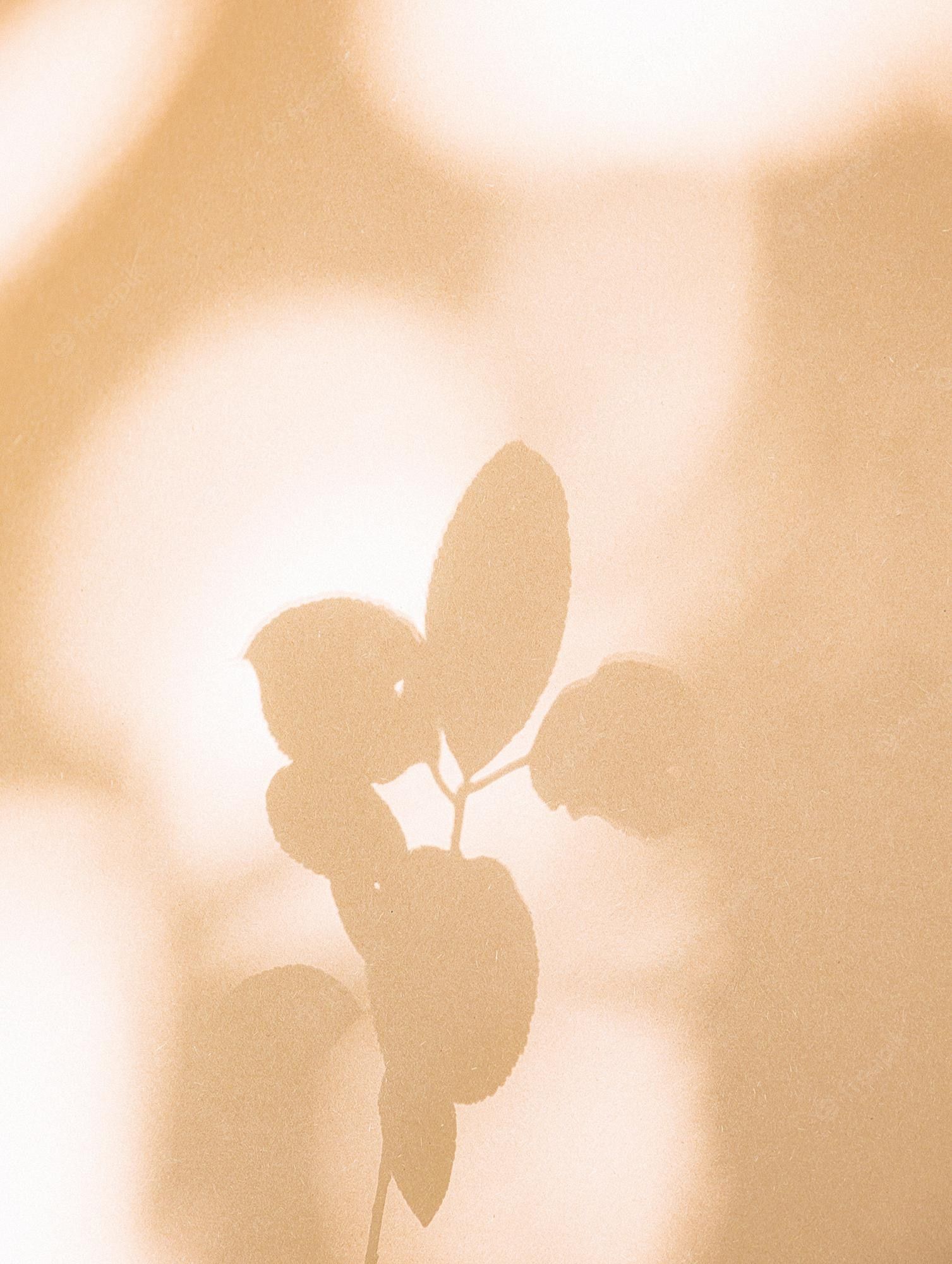 Pflanzenschatten, Pfirsich, Weiches Licht, Minimalistisch, Hintergrundbild fürs iPad