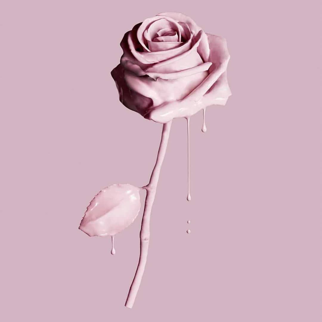 Rose, Tropfende Farbe, Altrosa, Minimalismus, Hintergrundbild für iPad und Tablet
