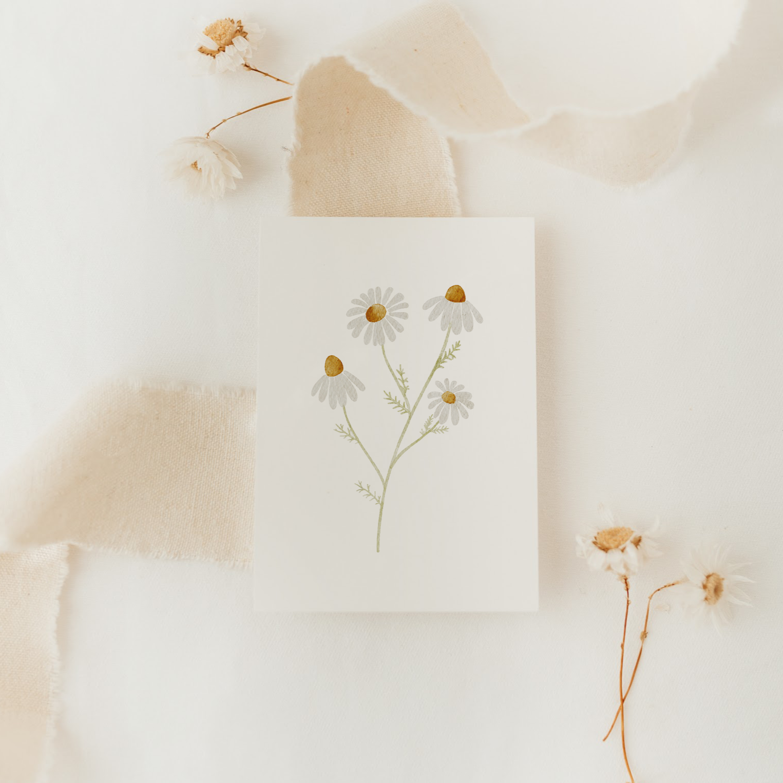 Kamillenblüten, Karte, Getrocknete Blumen, Beige, Flatlay, HD, Tablet-Hintergrund