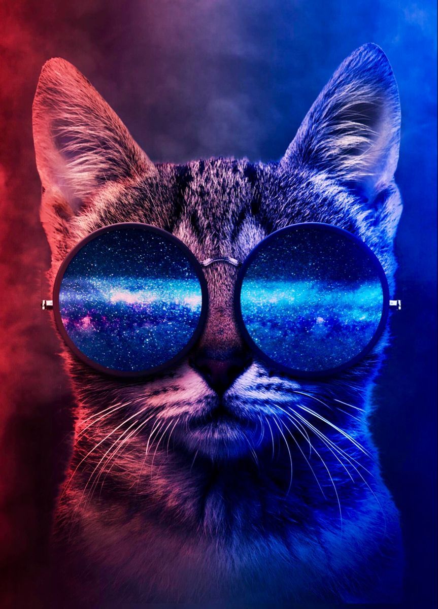 Katze mit Sonnenbrille, Galaxie-Spiegelung, Rot-Blau, Digitale Kunst, Cool, Hintergrundbild fürs Tablet