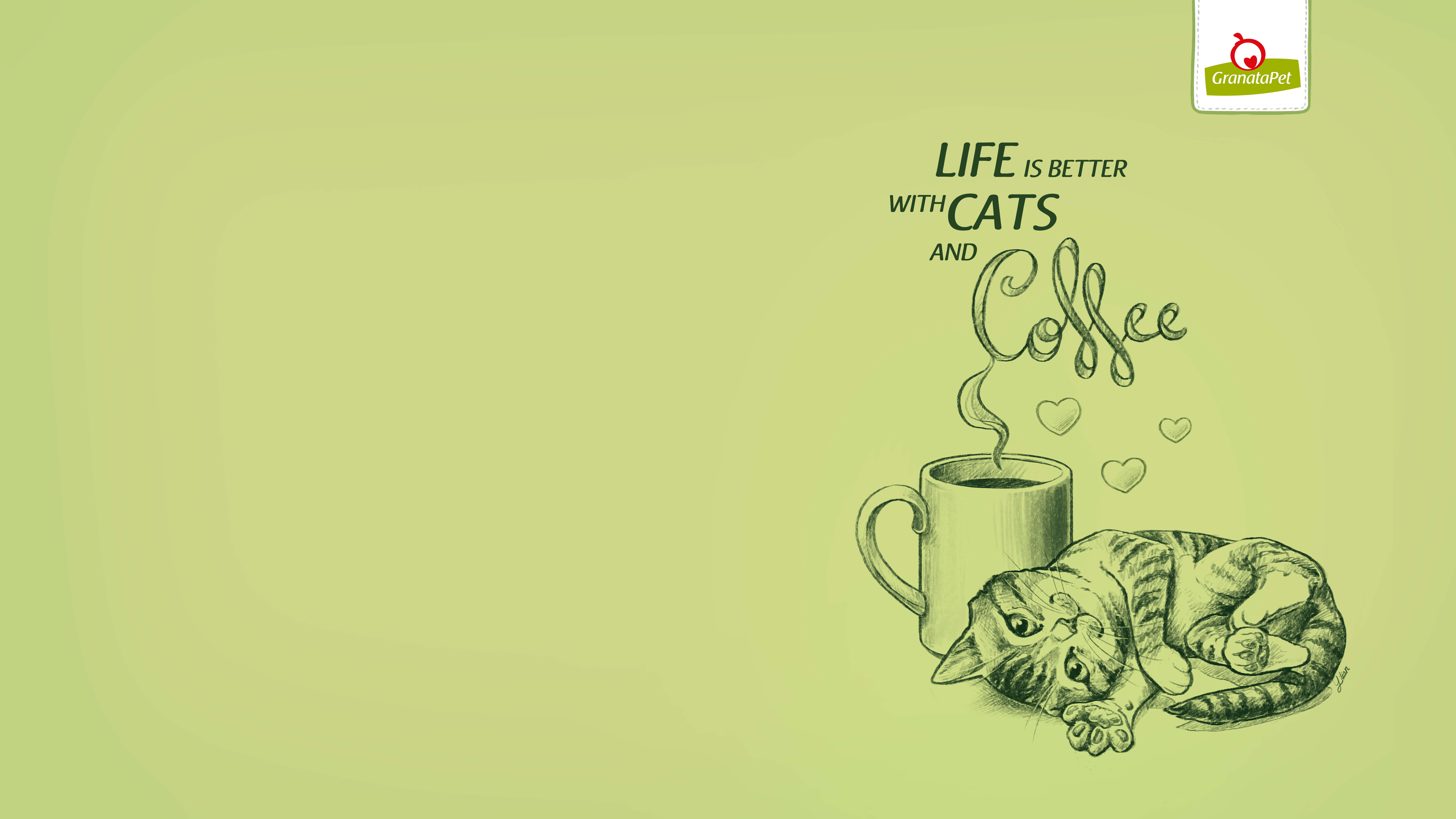 Life is better with cats and coffee, Kaffeetasse, Schlafende Katze, Zeichnung, Hellgrün, 8K-Hintergrund