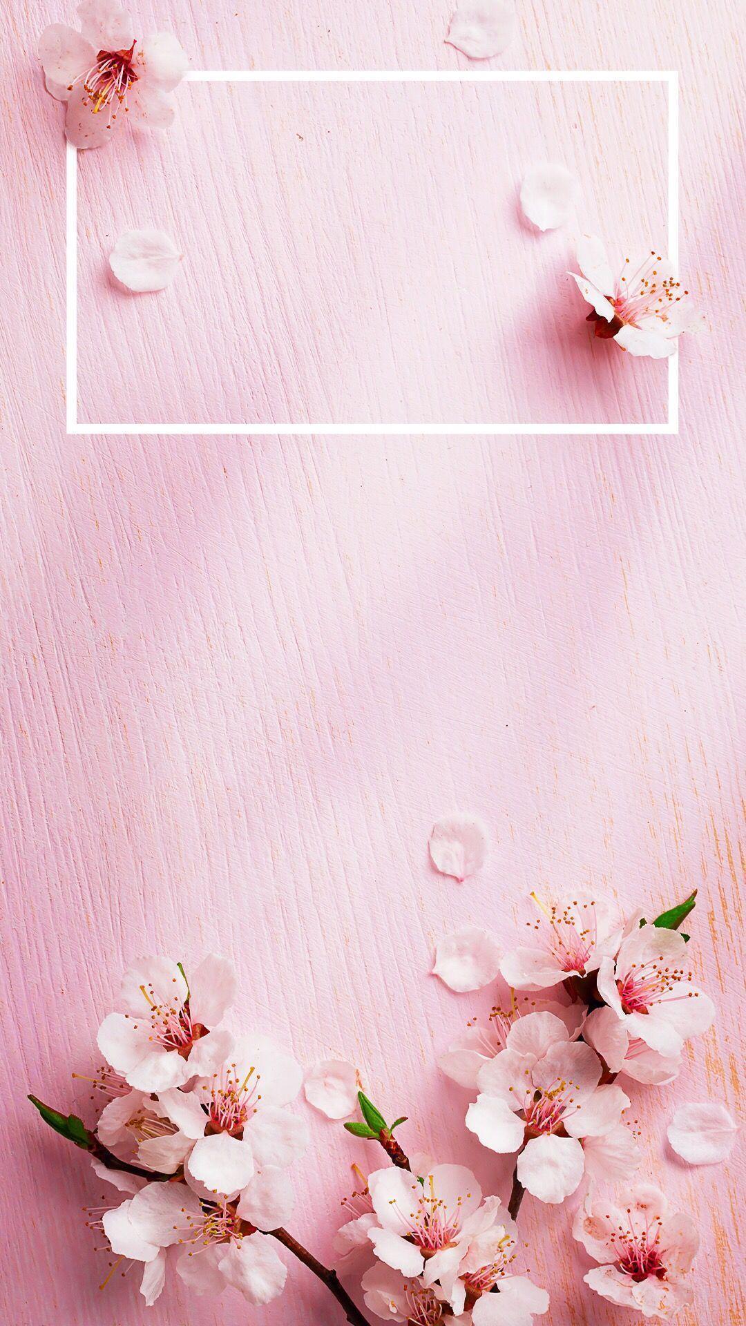 Kirschblüten, Rahmen, Pastell, Minimalismus, Full HD, Sperrbildschirm fürs iPhone