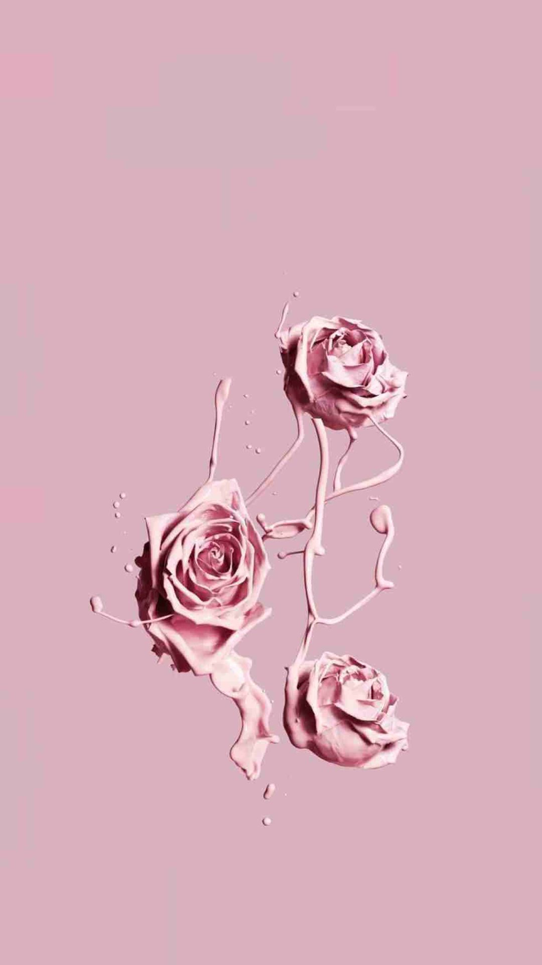 Rosen, Altrosa, Minimalismus, Monochrom, Full HD, Hintergrundbild fürs Handy