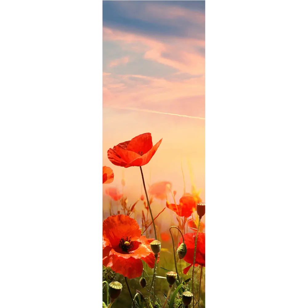 Mohnblumen, Rote Blüten, Sonnenuntergang, Wiese, Hintergrundbild für iPad und Tablet