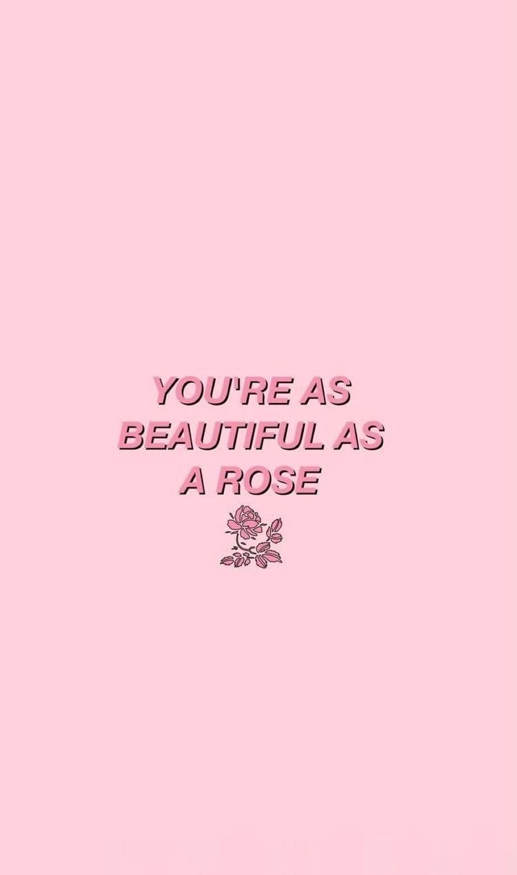 You're as beautiful as a rose, Zitat, Rose, Hellrosa Hintergrund, Sperrbildschirm fürs iPhone