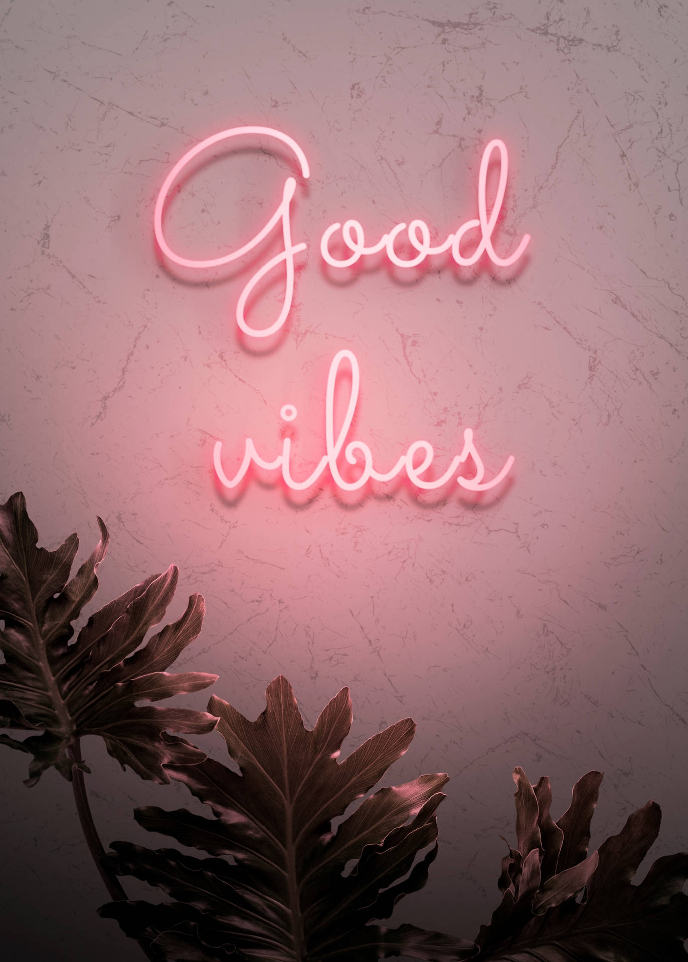 Good Vibes, Neonschrift, Pflanzen, Betonwand, Rosa Licht, Hintergrundbild fürs iPad