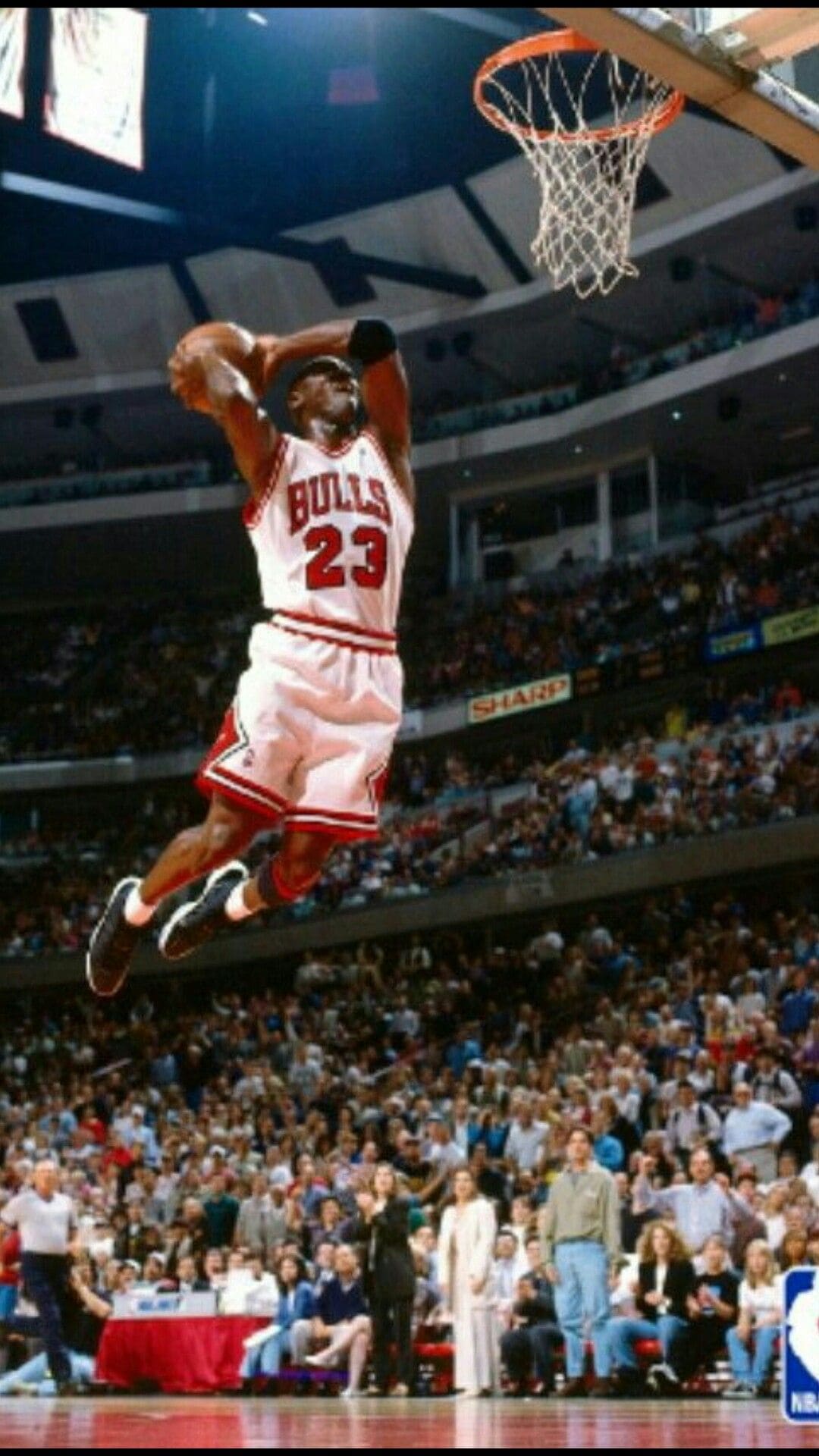 Michael Jordan, Chicago Bulls, Slam Dunk, Basketball, Arena, NBA, 1080x1920, Handy-Hintergrund