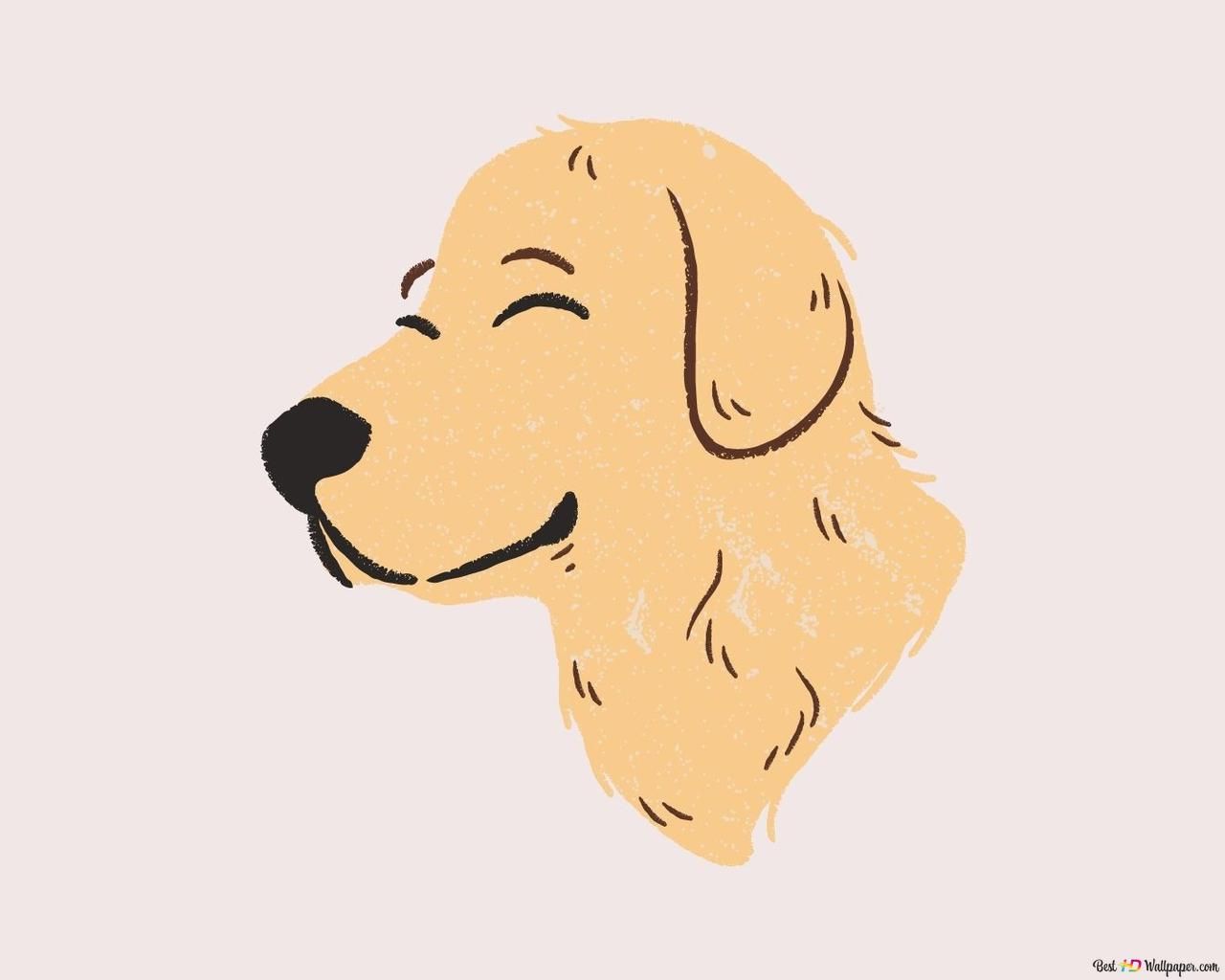 Golden Retriever, Illustration, Hundekopf, Hellrosa Hintergrund, Minimalistisch, HD Wallpaper