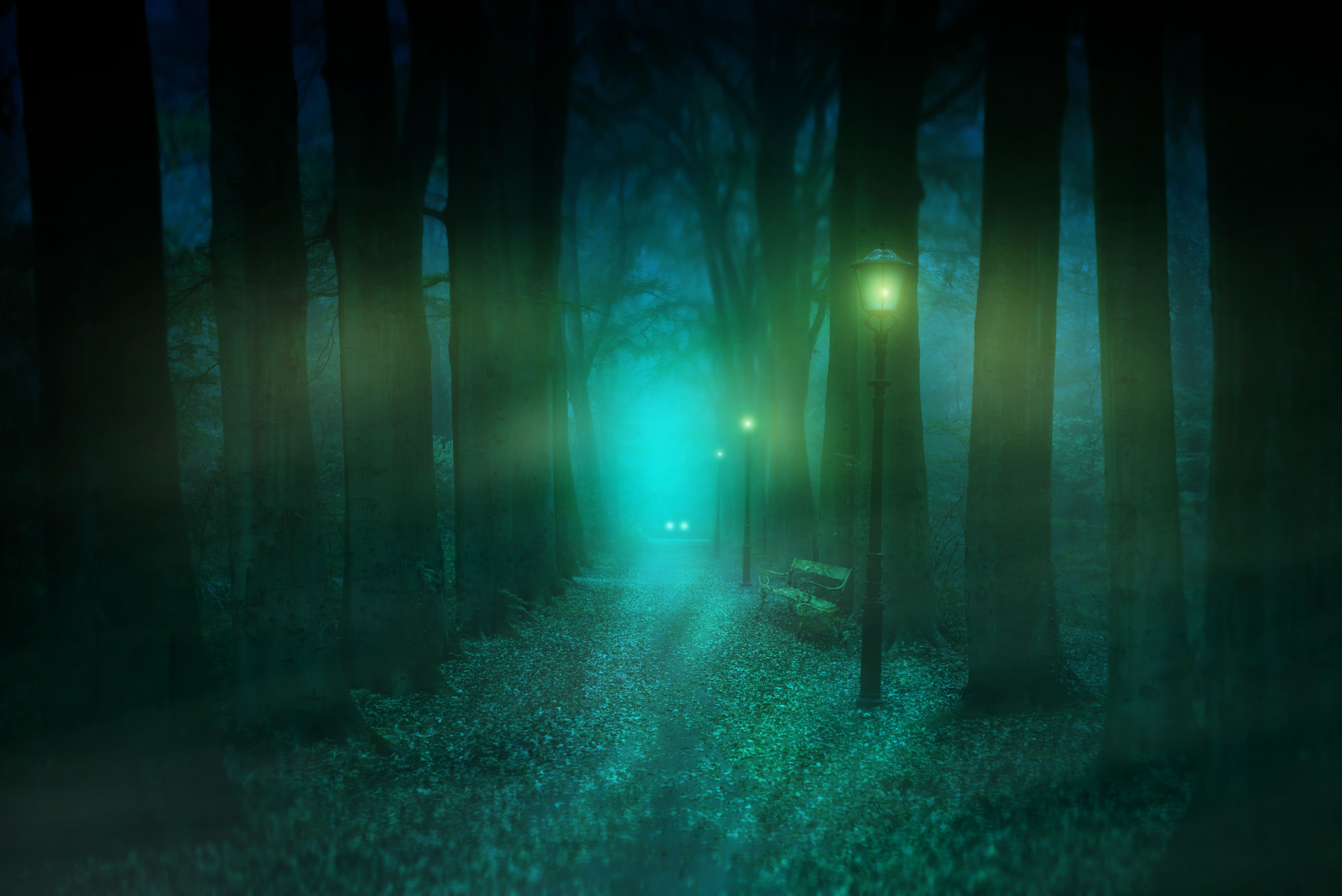 Wald, Nebel, Leuchtende Gestalt, Türkis, Laterne, Nacht, 5K, Laptop-Hintergrundbild