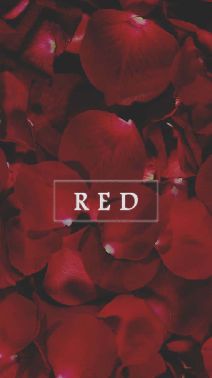 Rosenblätter, Schriftzug RED, Dunkelrot, Textur, HD, Handy-Hintergrund im Hochformat