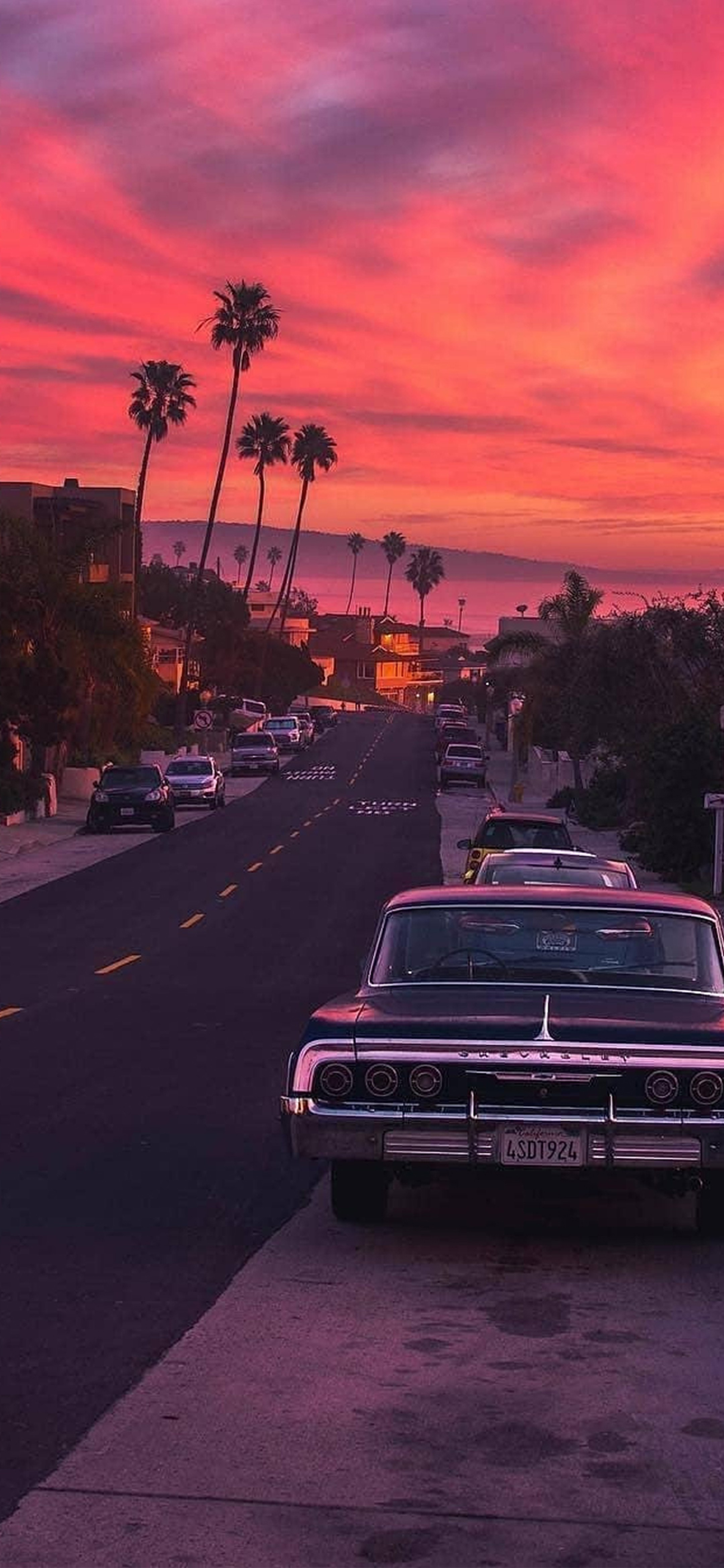 Oldtimer, Palmen, Sonnenuntergang, Pinker Himmel, Straße, QHD+, Handy-Hintergrundbild