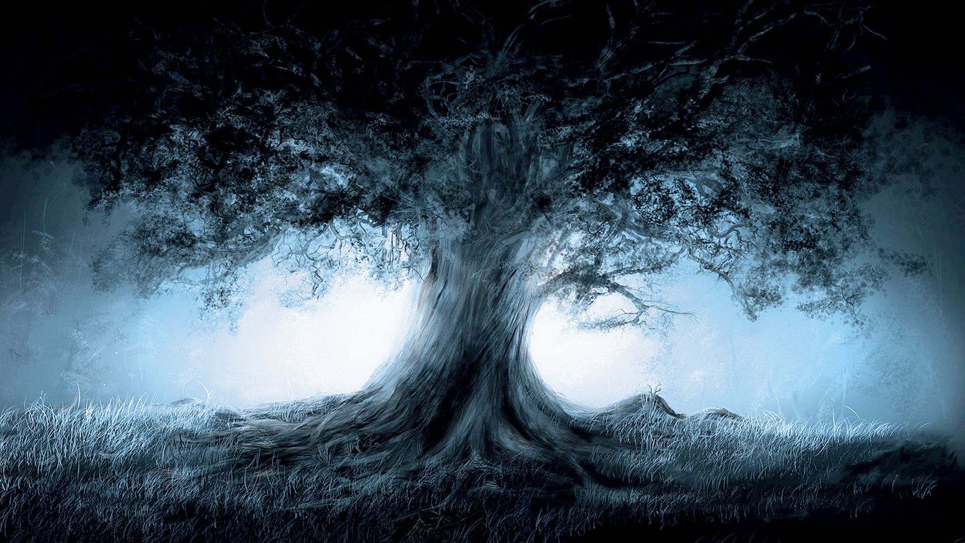 Baum, Nebel, Wiese, Blau, Dunkel, Full HD 1080p, Desktop-Hintergrundbild