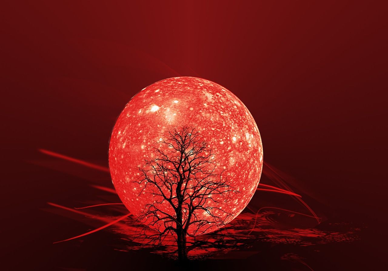 Roter Mond, Kahler Baum, Silhouette, Fantasy, Dunkelrot, HD-Hintergrundbild für PC