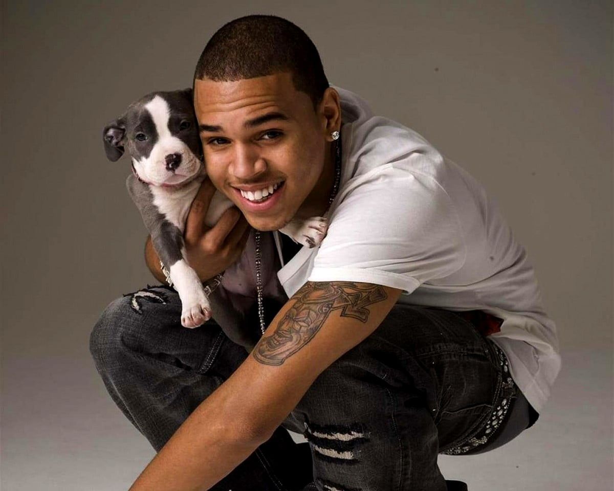 Chris Brown, Welpe, Sänger, Tattoo, Grauer Hintergrund, Wallpaper