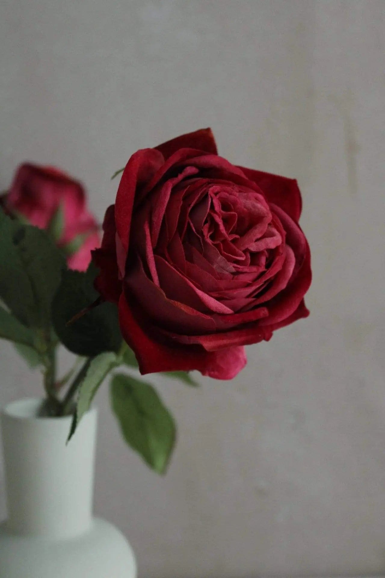 Rote Rose, Vase, Blume, Grauer Hintergrund, Stillleben, Full HD, Sperrbildschirm fürs iPhone