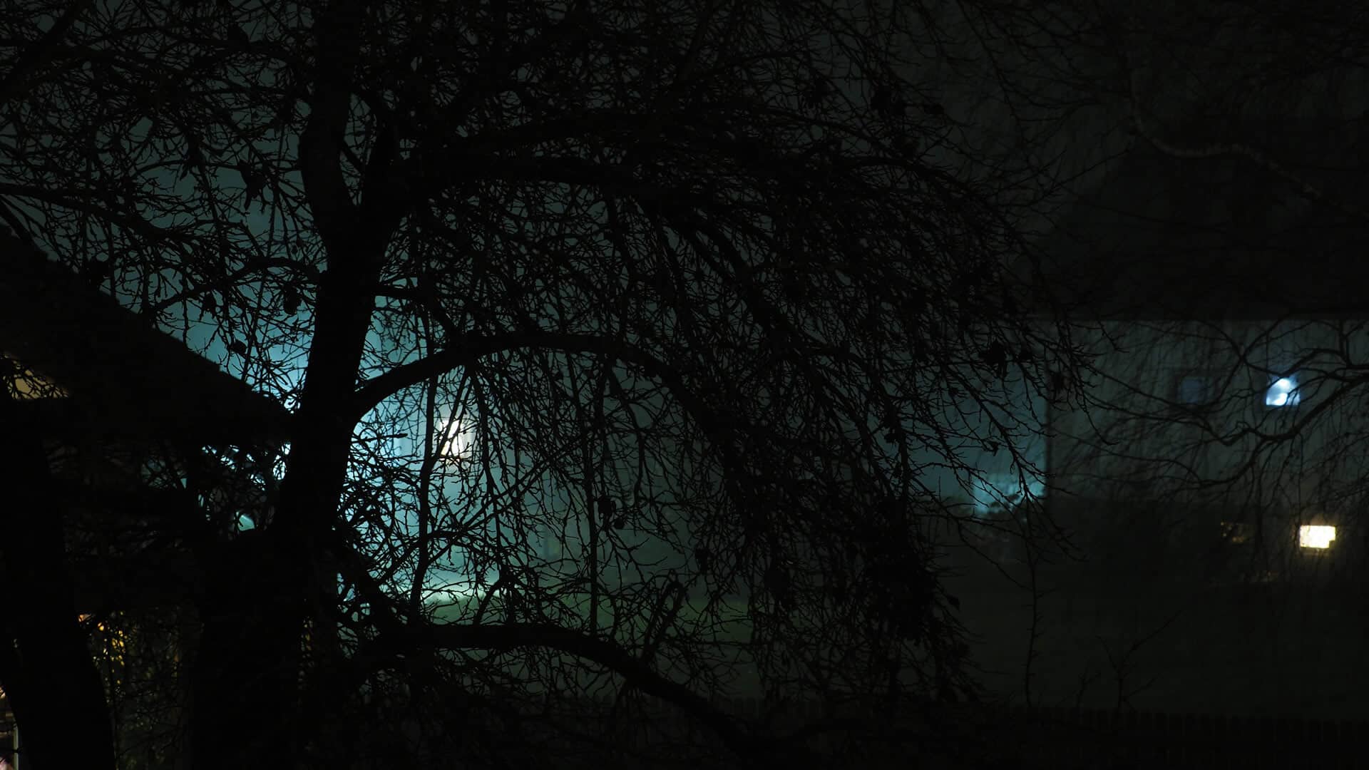 Bäume, Nacht, Silhouette, Dunkel, Lichter, 1920x1080, Full-HD-Hintergrundbild für PC