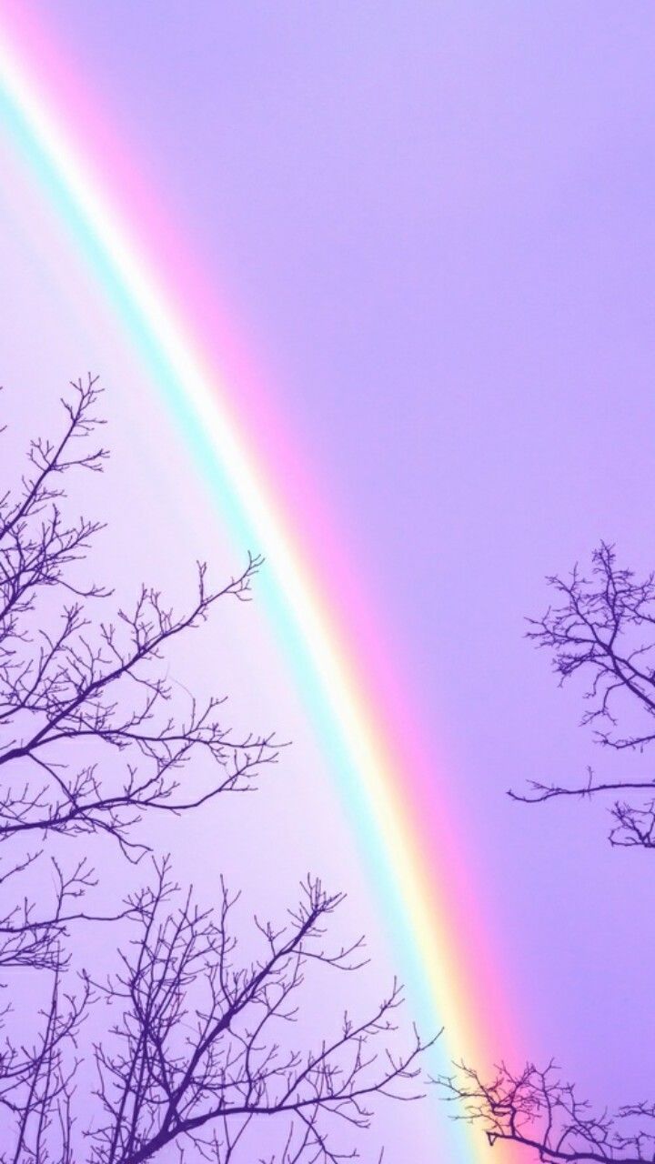 Regenbogen, Kahle Bäume, Lila Himmel, Pastell, Hochformat, Hintergrundbild fürs Smartphone