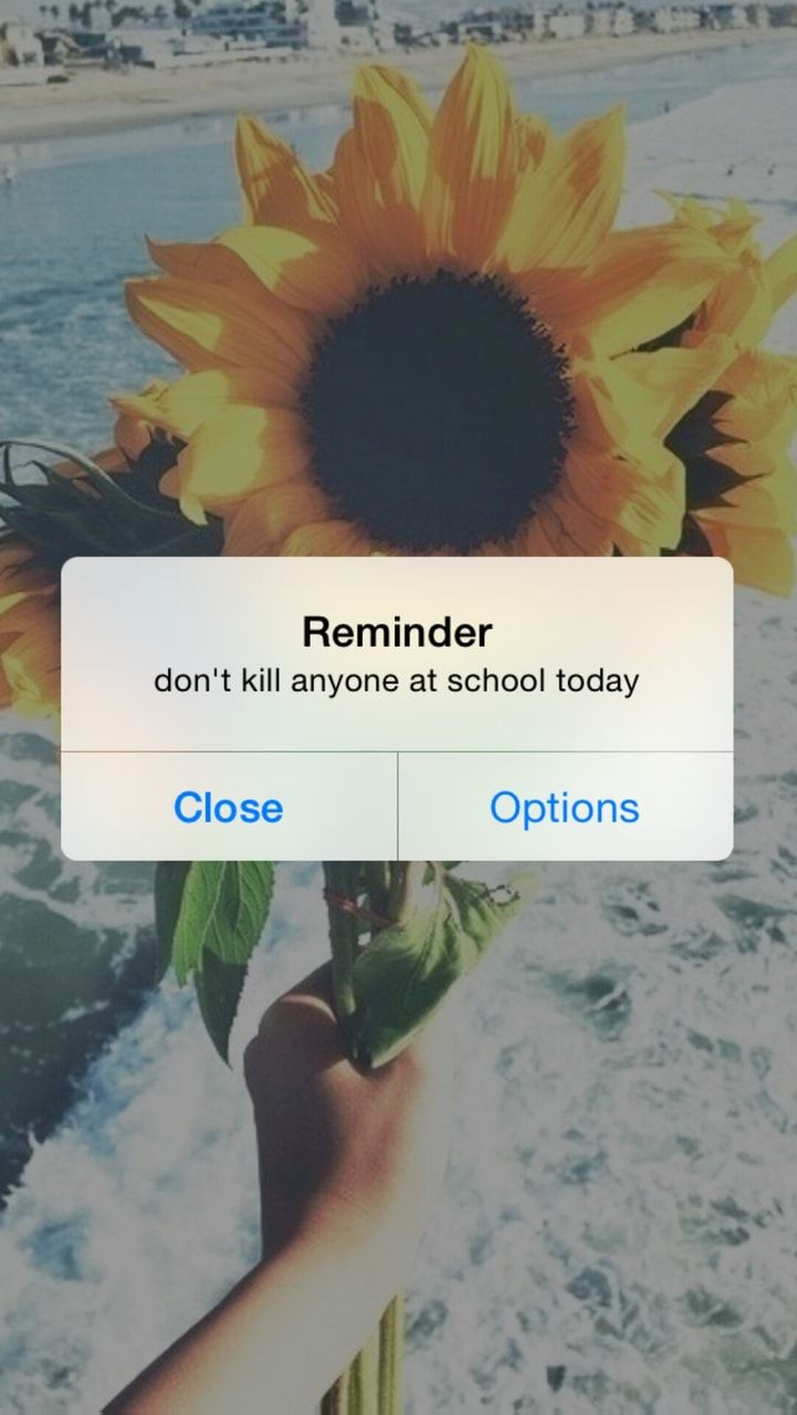 Erinnerung, iPhone-Benachrichtigung, Sonnenblume, Strand, Humor, Hintergrundbild fürs Handy