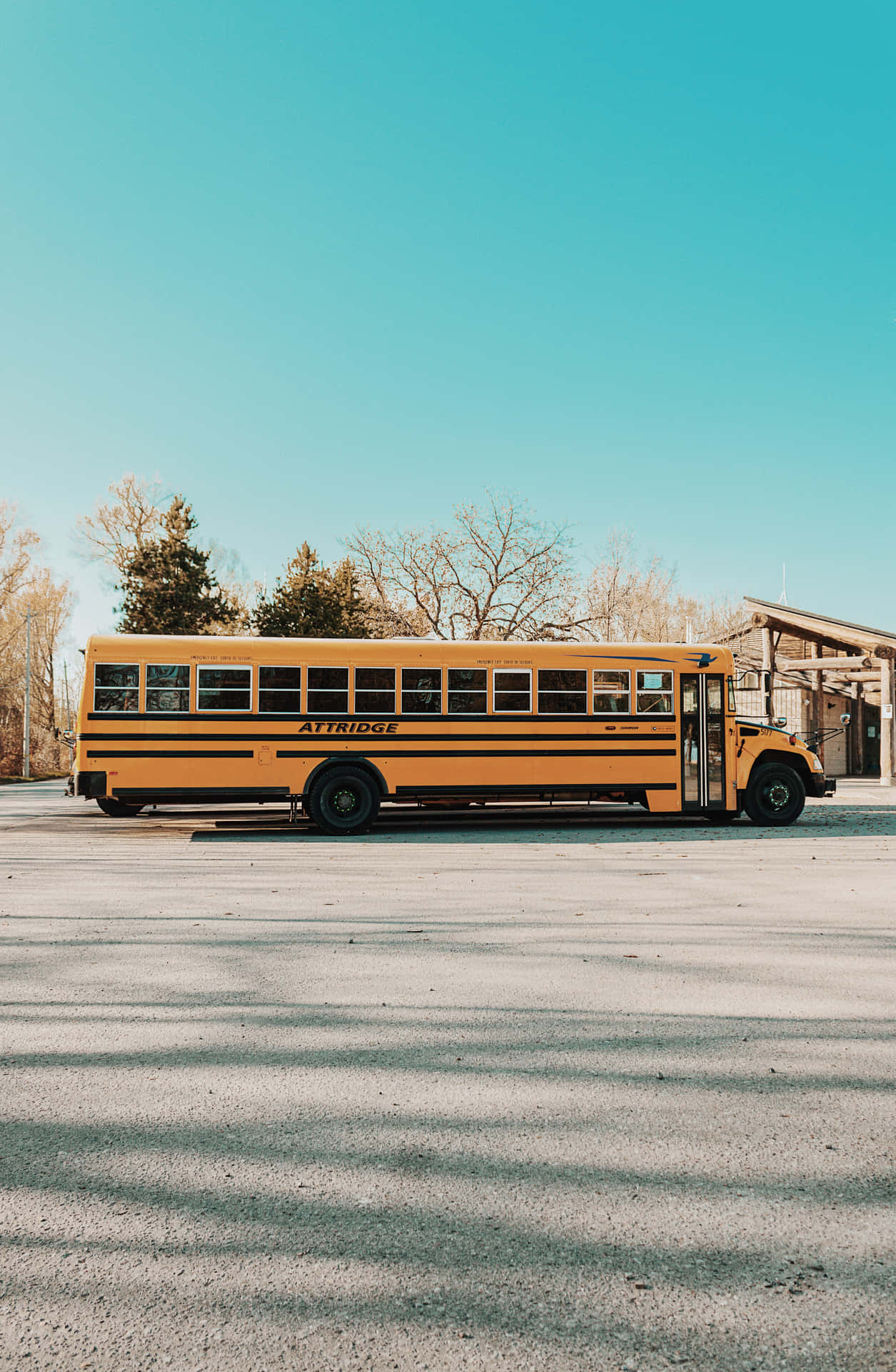 Schulbus, Gelb, Parkplatz, Blauer Himmel, Amerikanisch, Full HD, Hintergrundbild fürs Handy