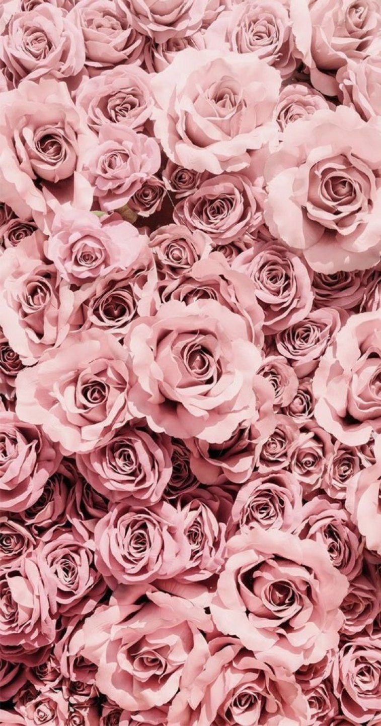 Rosen, Rosenmeer, Altrosa, Blumen, HD, Handy-Hintergrund im Hochformat