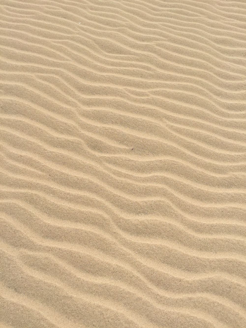Sandrippel, Sandtextur, Muster, Beige, Hintergrundbild für iPad und Tablet