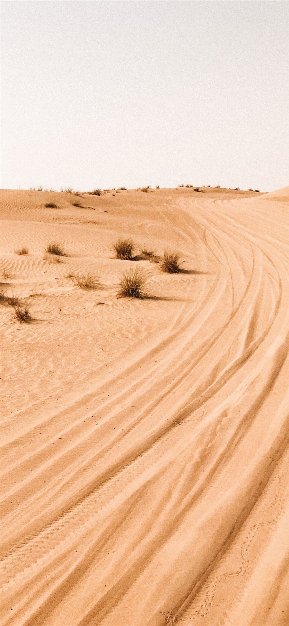 Wüste, Reifenspuren, Sand, Sträucher, Full HD, Handy-Hintergrund im Hochformat
