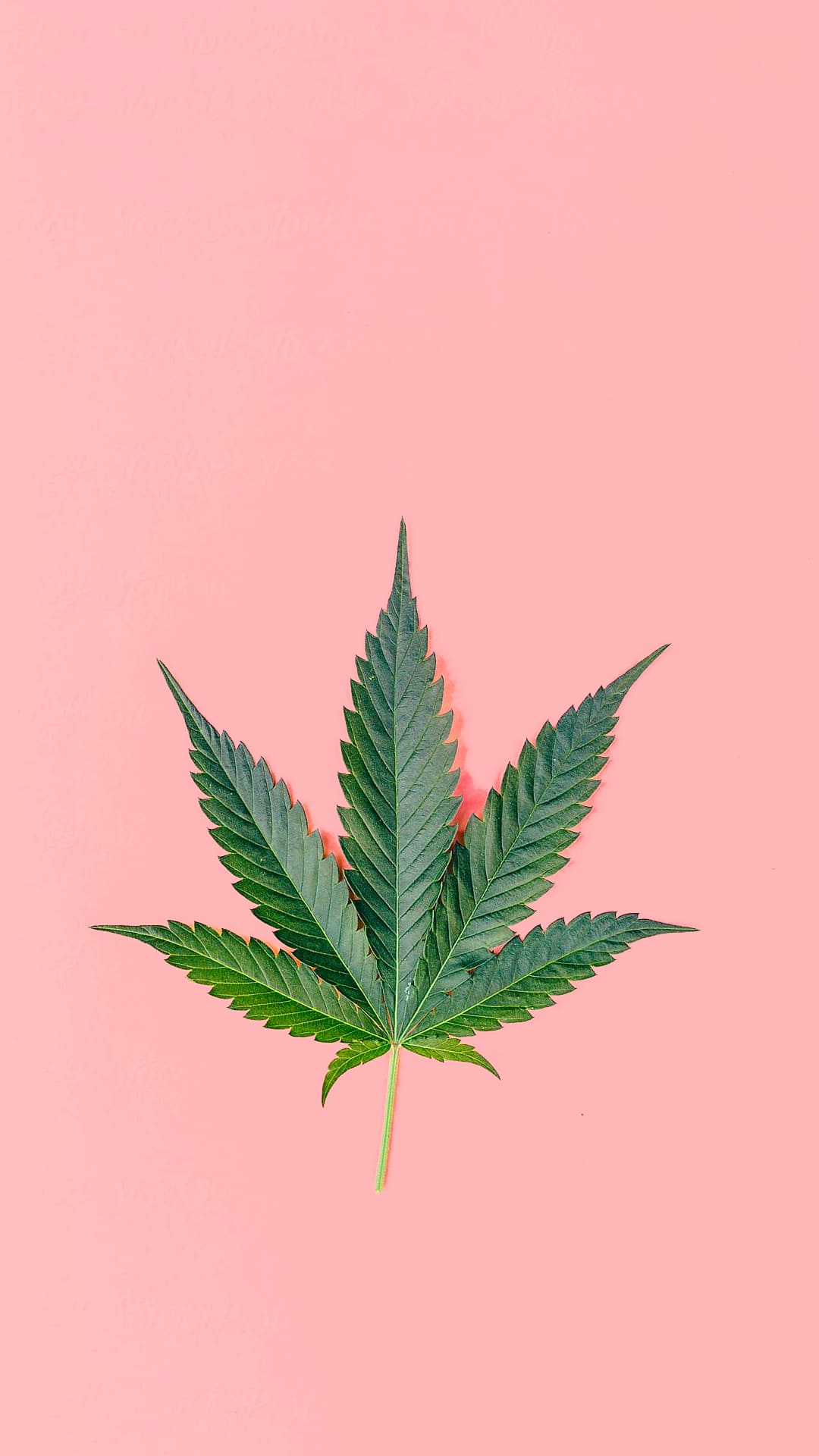 Cannabisblatt, Rosa Hintergrund, Minimalistisch, Grün, Pastell, Sperrbildschirm fürs iPhone