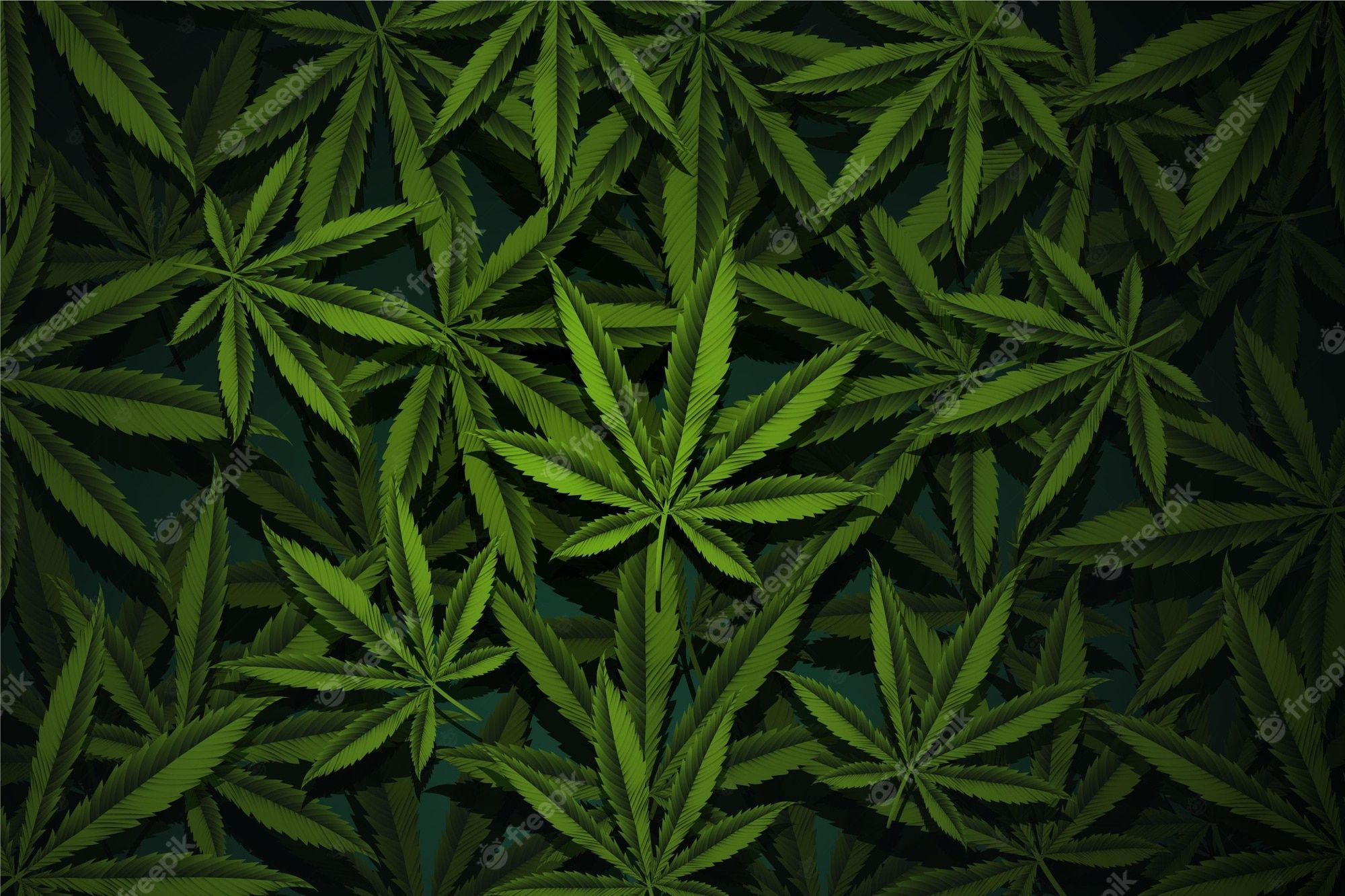 Hanfblätter, Blätterteppich, Grün, Draufsicht, Muster, Full HD, Desktop-Hintergrund für Windows