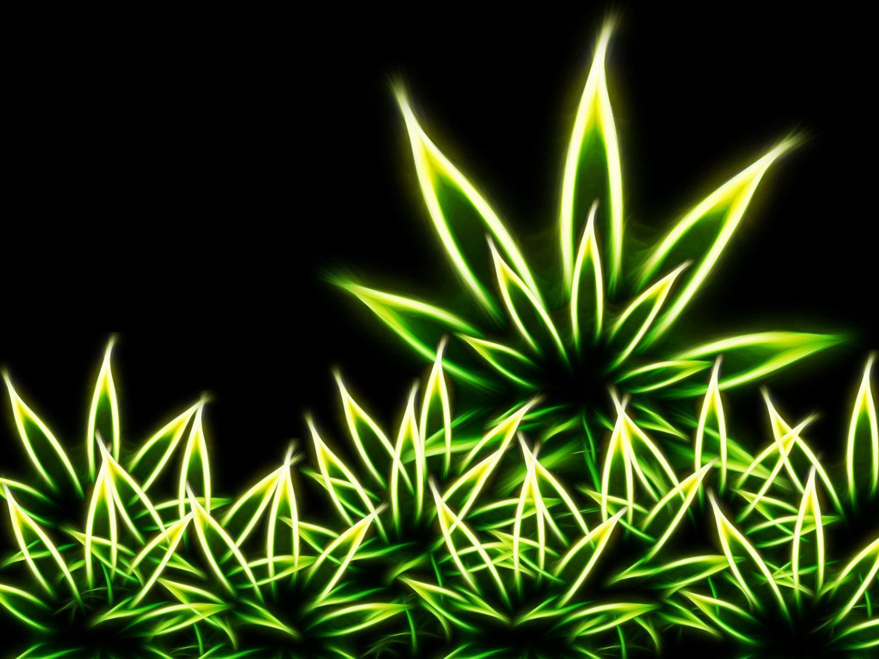 Hanfblätter, Neonleuchten, Gelbgrün, Schwarzer Hintergrund, Digitale Kunst, HD Wallpaper