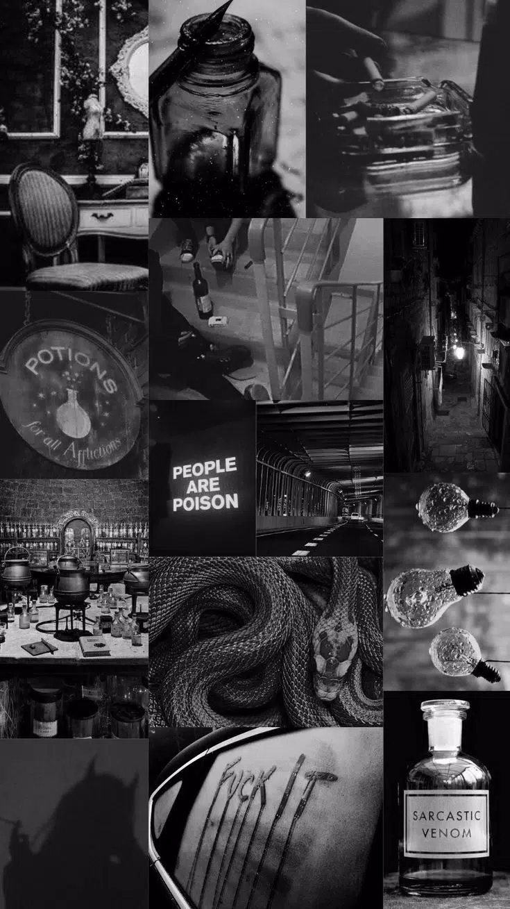 Collage, Dunkle Ästhetik, Schwarz-Weiß, Schlange, Moodboard, HD, Handy-Hintergrund