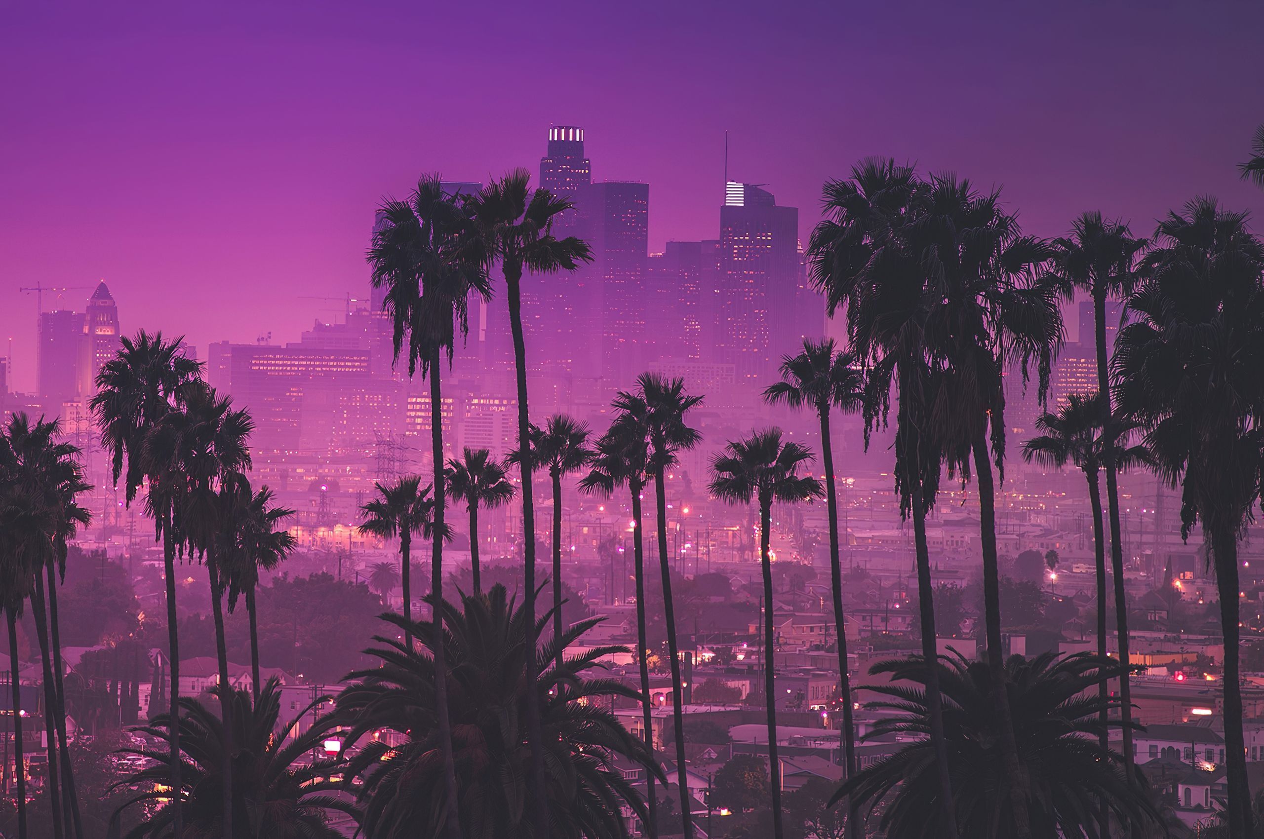 Los Angeles, Palmen, Skyline, Lila Dämmerung, 2K, Desktop-Hintergrund für Windows