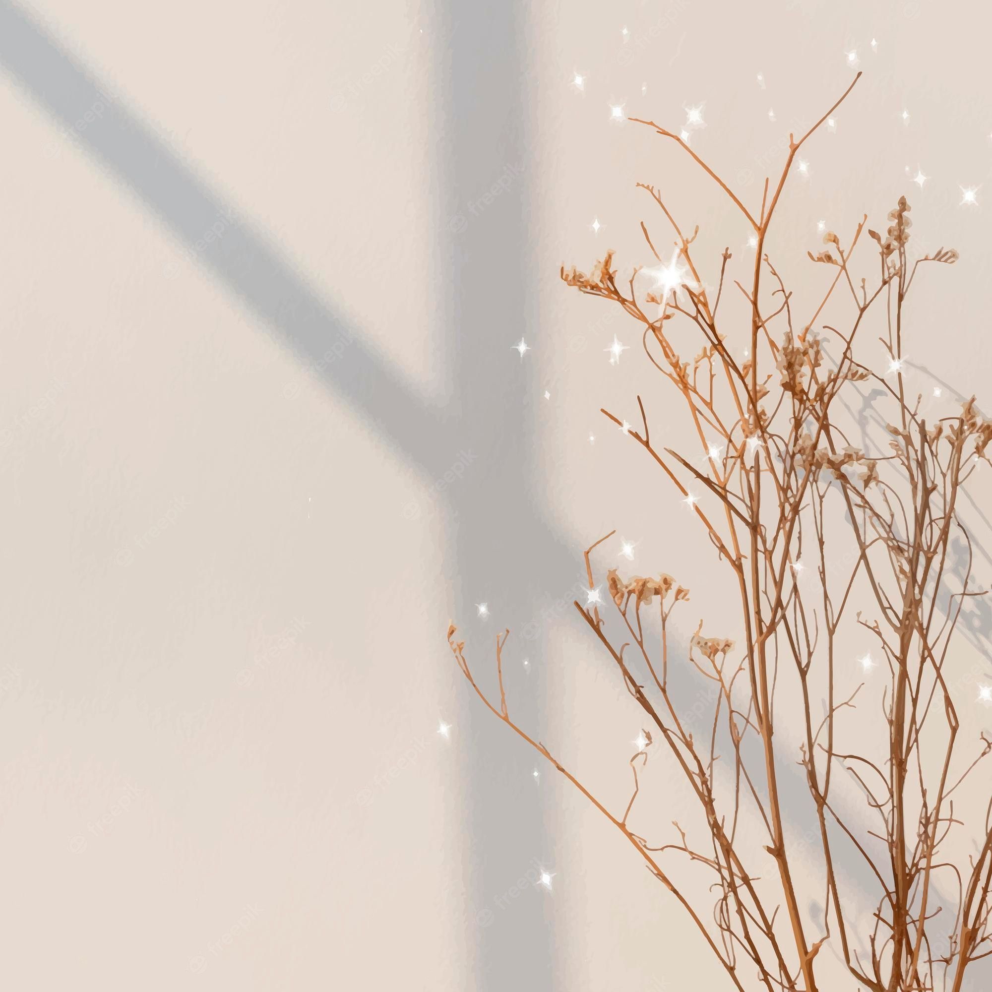 Getrocknete Zweige, Schatten, Beige, Funkeln, Minimalistisch, Full HD, Tablet-Hintergrund