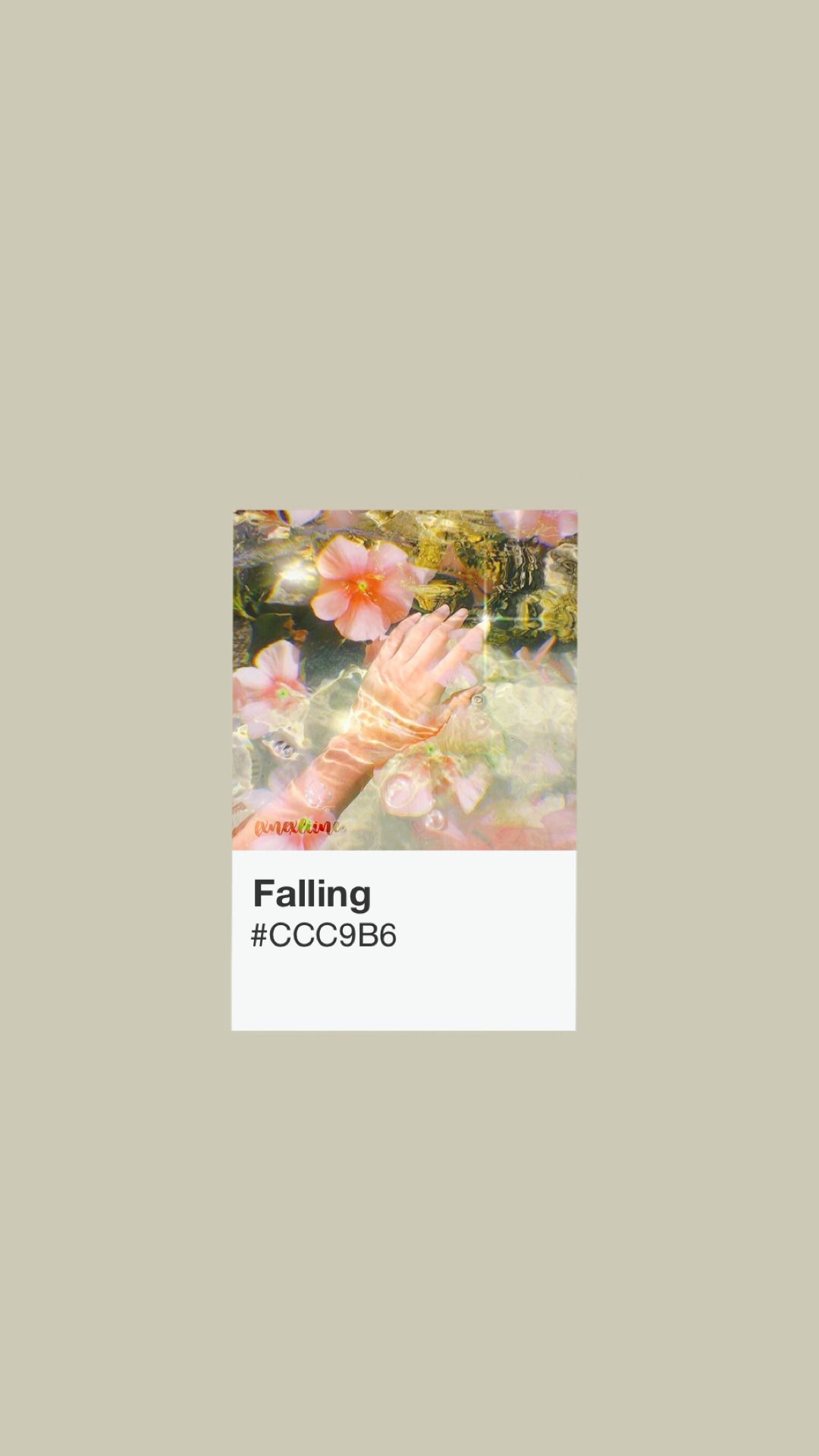Pantone-Karte, Falling, Blumen, Salbeigrün, Minimalismus, Full HD, iPhone-Hintergrundbild