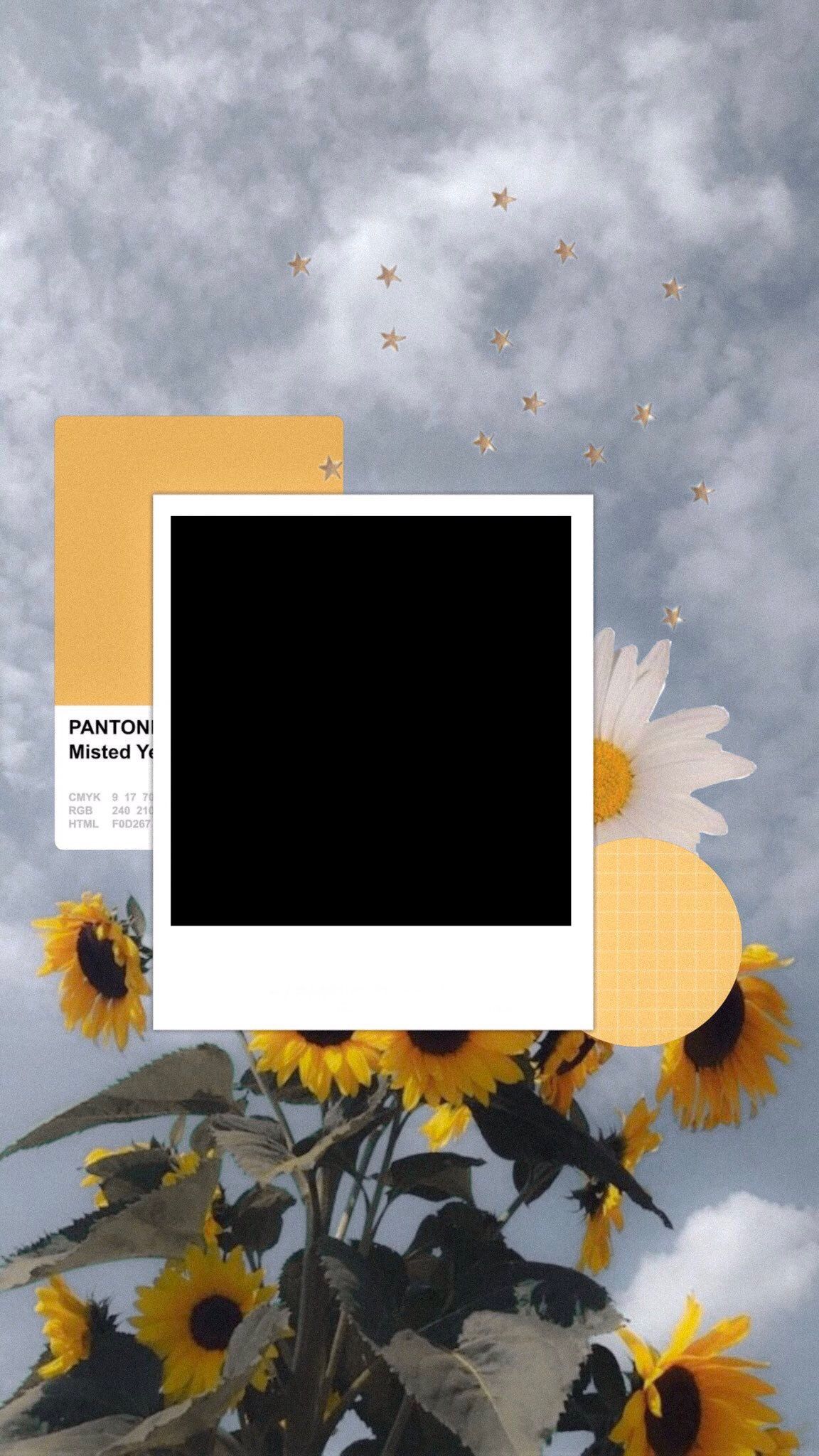 Schwarzes Sofortbild, Sonnenblumen, Wolken, Collage, Full HD, Handy-Hintergrund im Hochformat