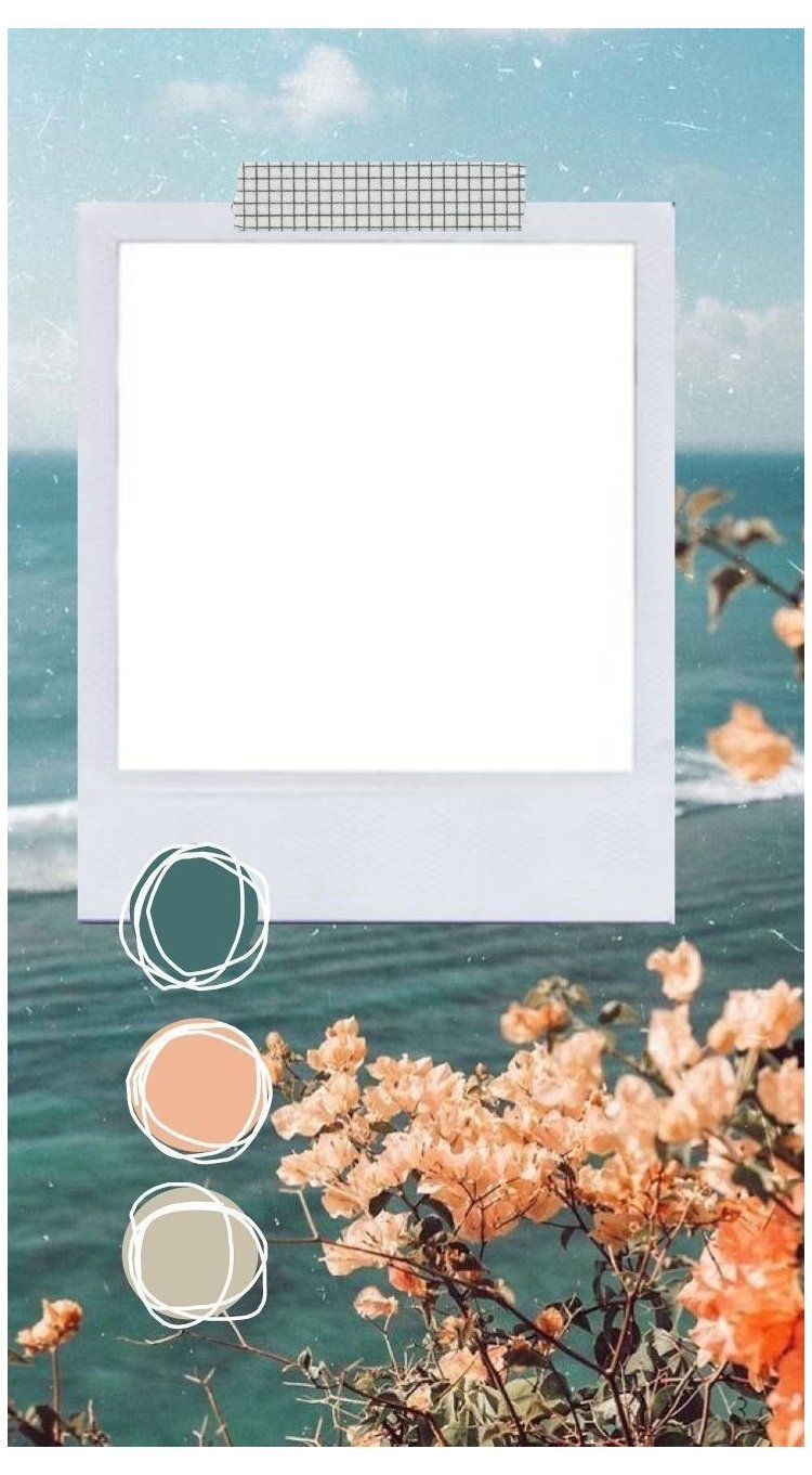 Leerer Sofortbildrahmen, Meer, Blumen, Farbpalette, Collage, Hintergrundbild fürs Handy