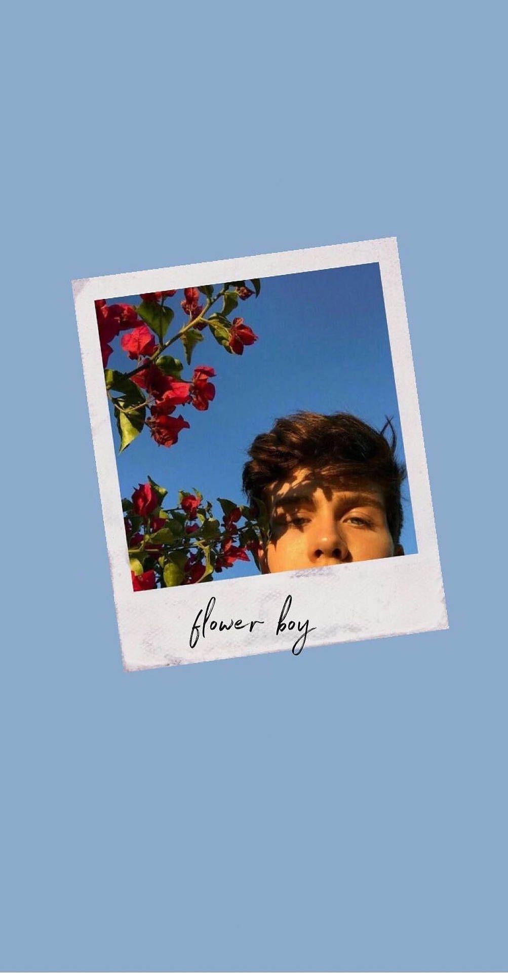 Polaroid, Junger Mann, Blumen, Hellblauer Hintergrund, HD, Sperrbildschirm fürs iPhone