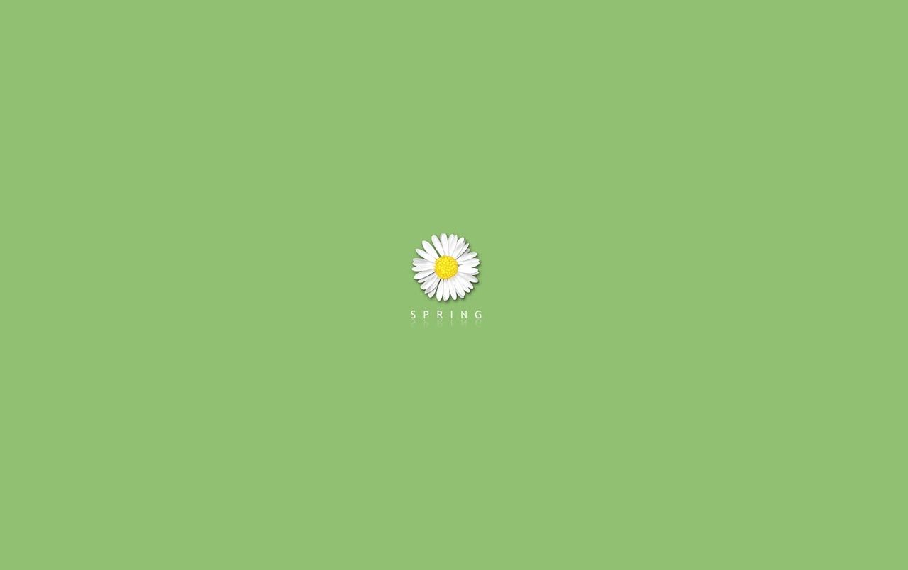 Gänseblümchen, Grüner Hintergrund, Minimalistisch, Spring, HD Wallpaper