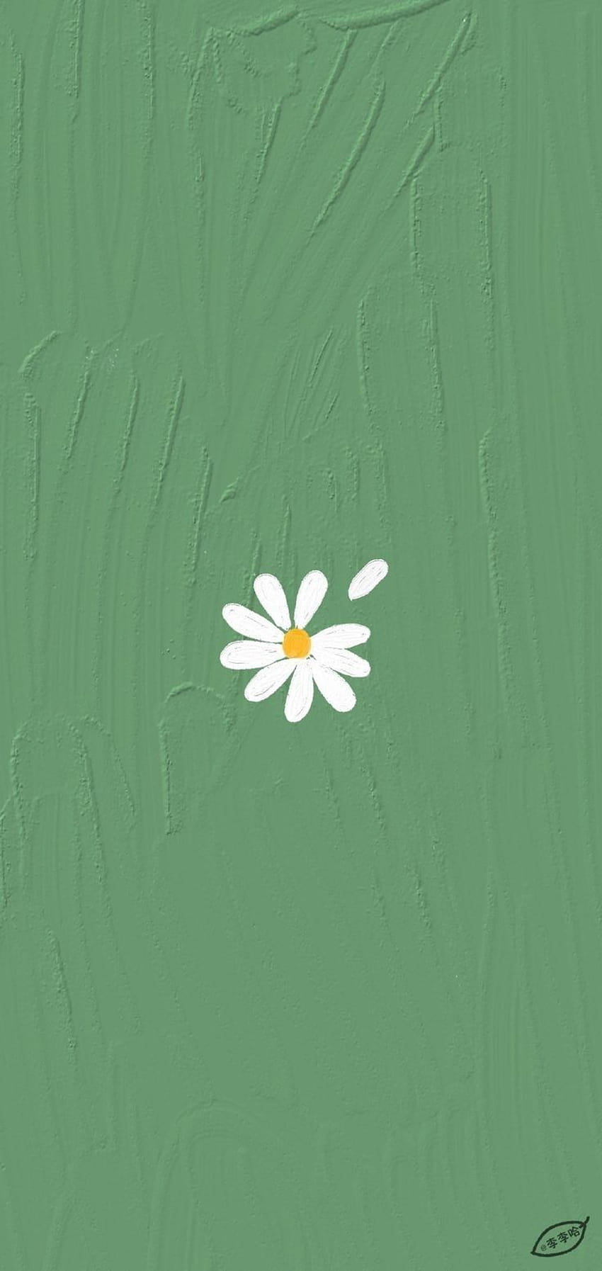 Gänseblümchen, Grün, Minimalistisch, Blume, HD, Handy-Hintergrund im Hochformat