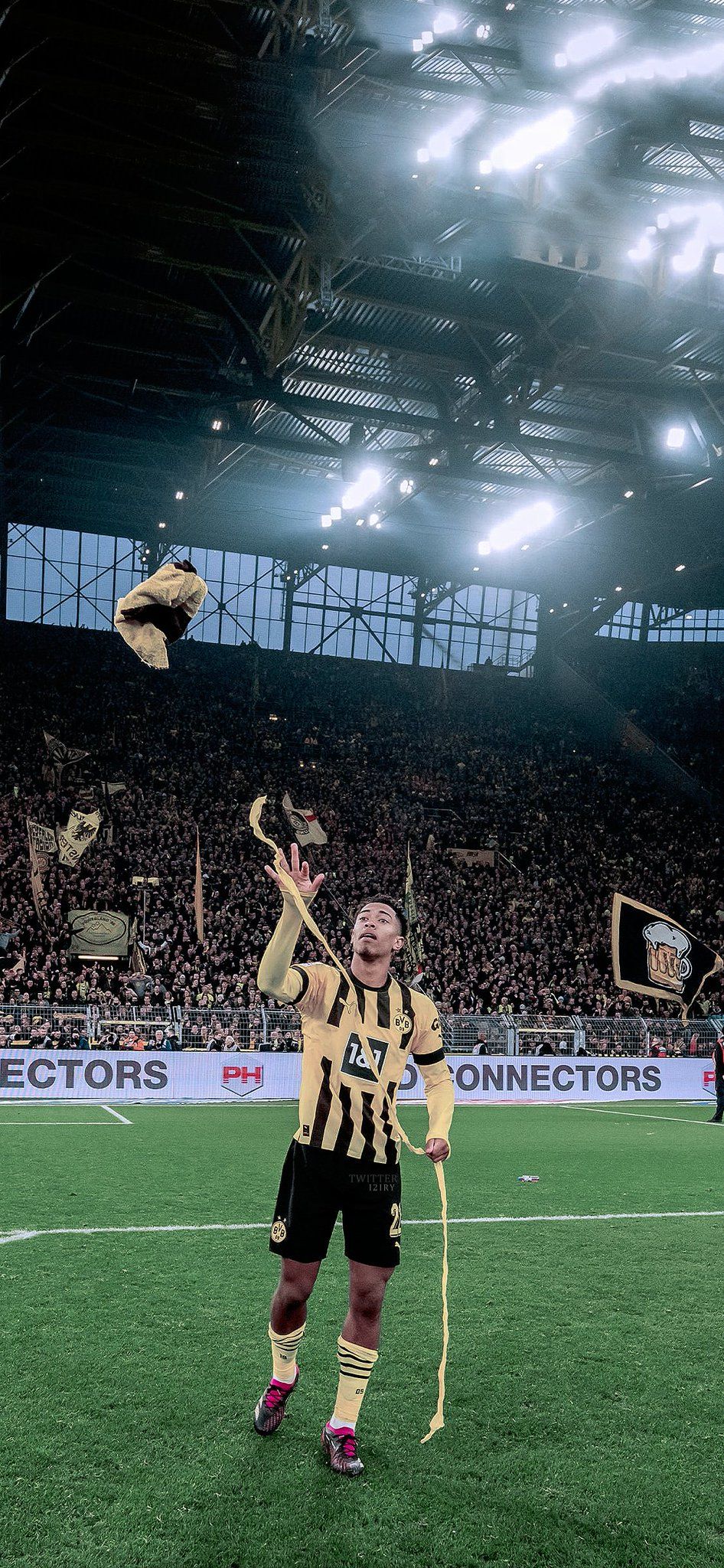 Borussia Dortmund, Spieler, Flutlicht, Stadion, Fans, HD, Hintergrundbild fürs Handy