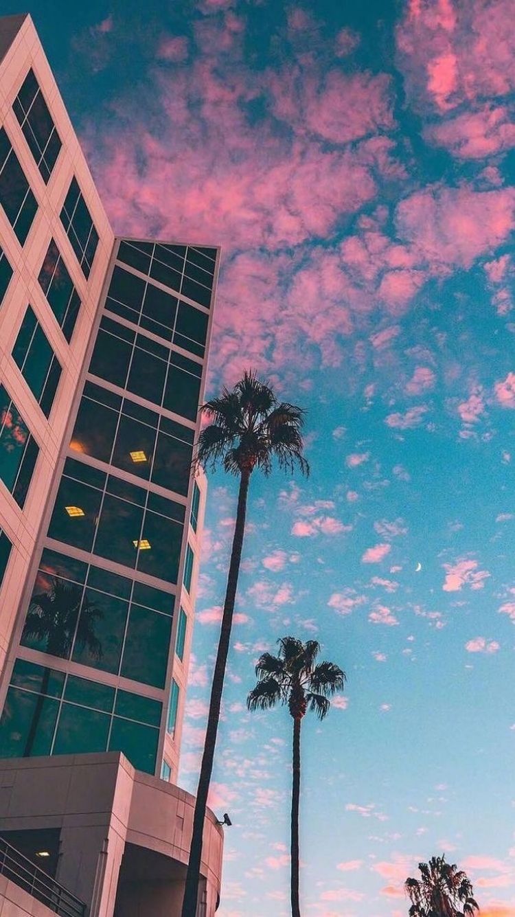 Hochhaus, Palmen, Froschperspektive, Rosa Wolken, Hochformat, HD, Handy-Hintergrundbild