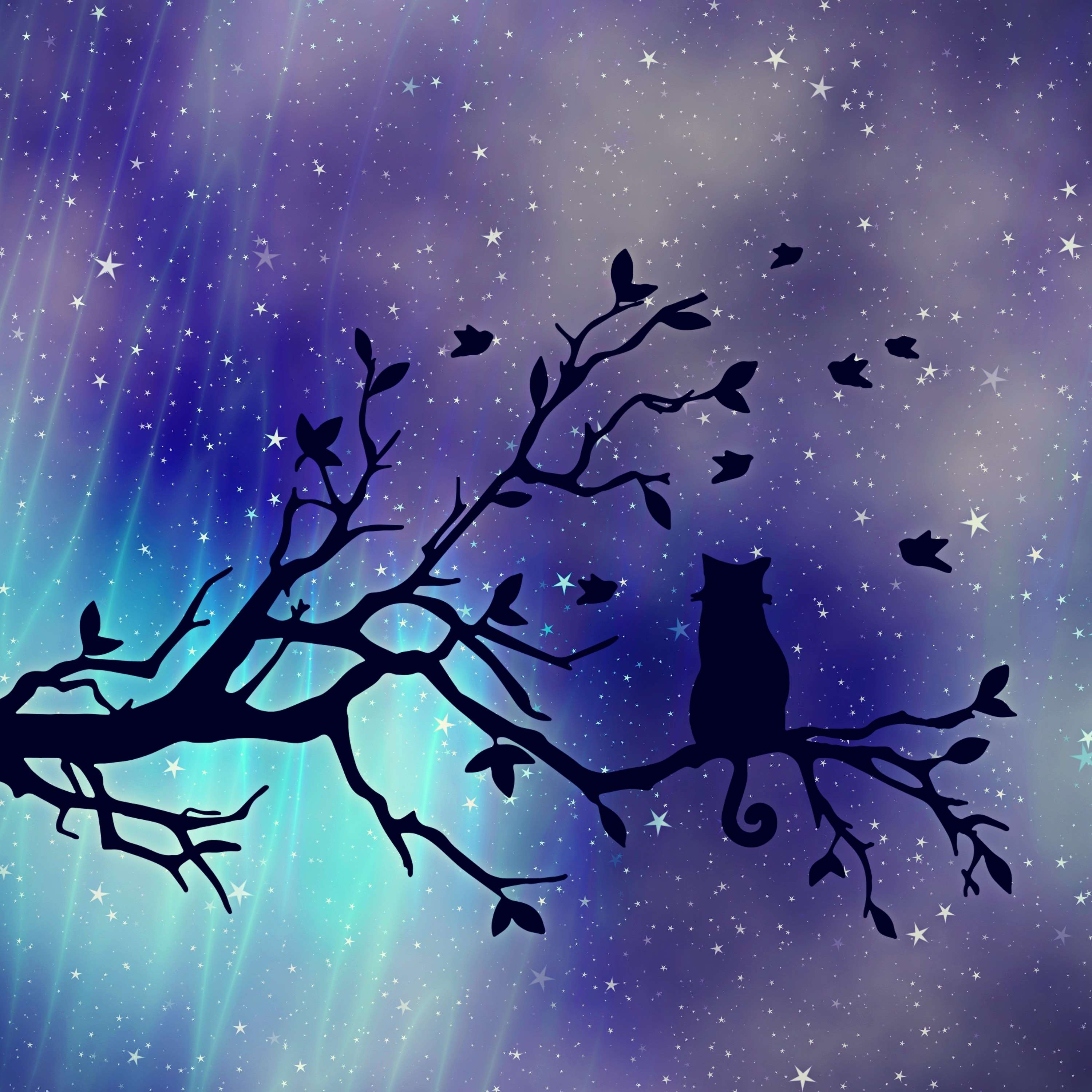 Katze, Silhouette, Ast, Vögel, Sternenhimmel, Polarlicht, 2K, iPad-Hintergrundbild