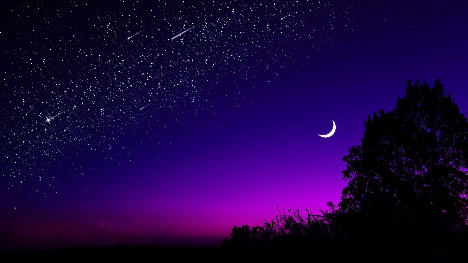 Sternenhimmel, Mondsichel, Sternschnuppe, Baum-Silhouette, Nacht, Lila, Full HD, Breitbild-Hintergrundbild